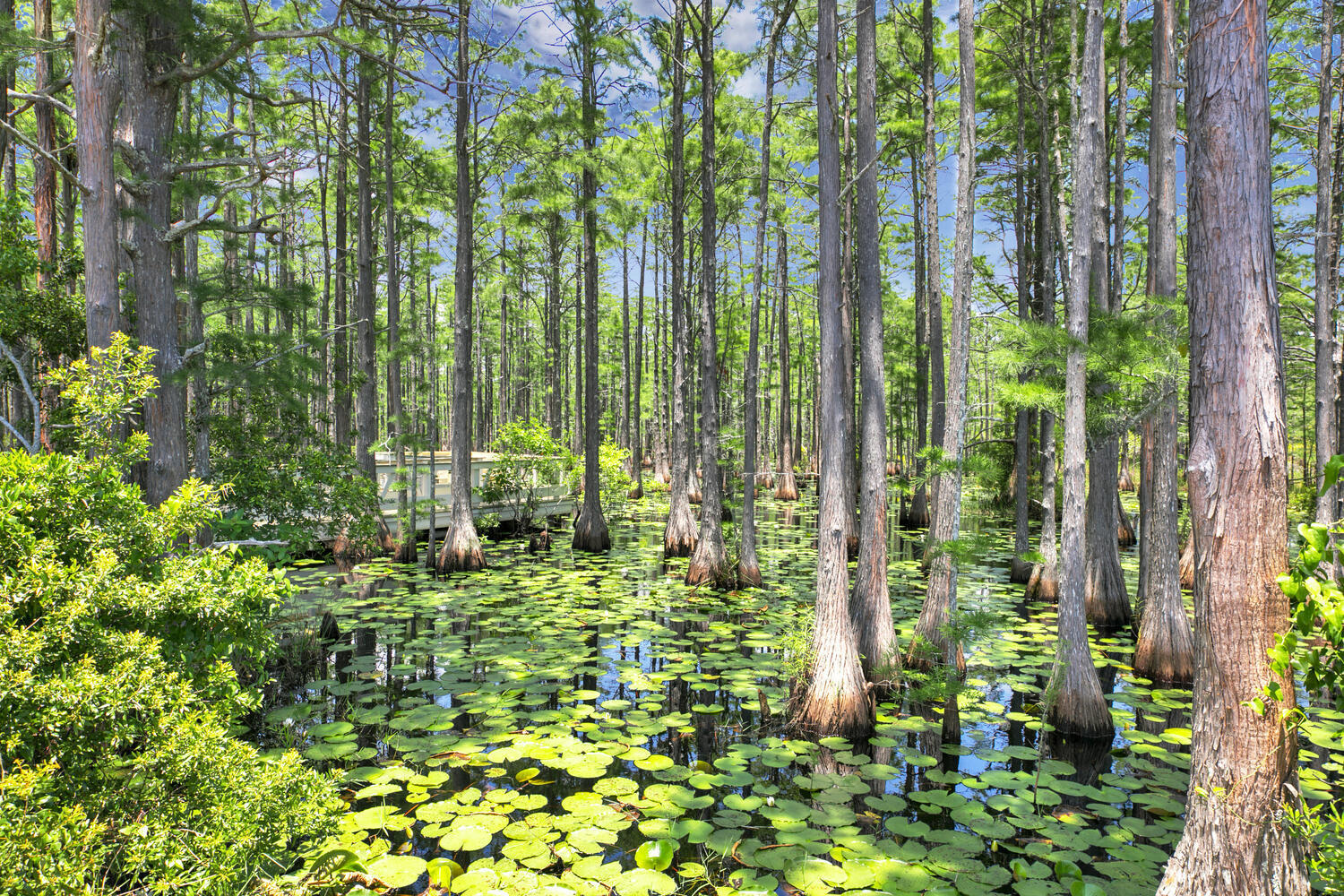 CYPRESS DUNES - Residential