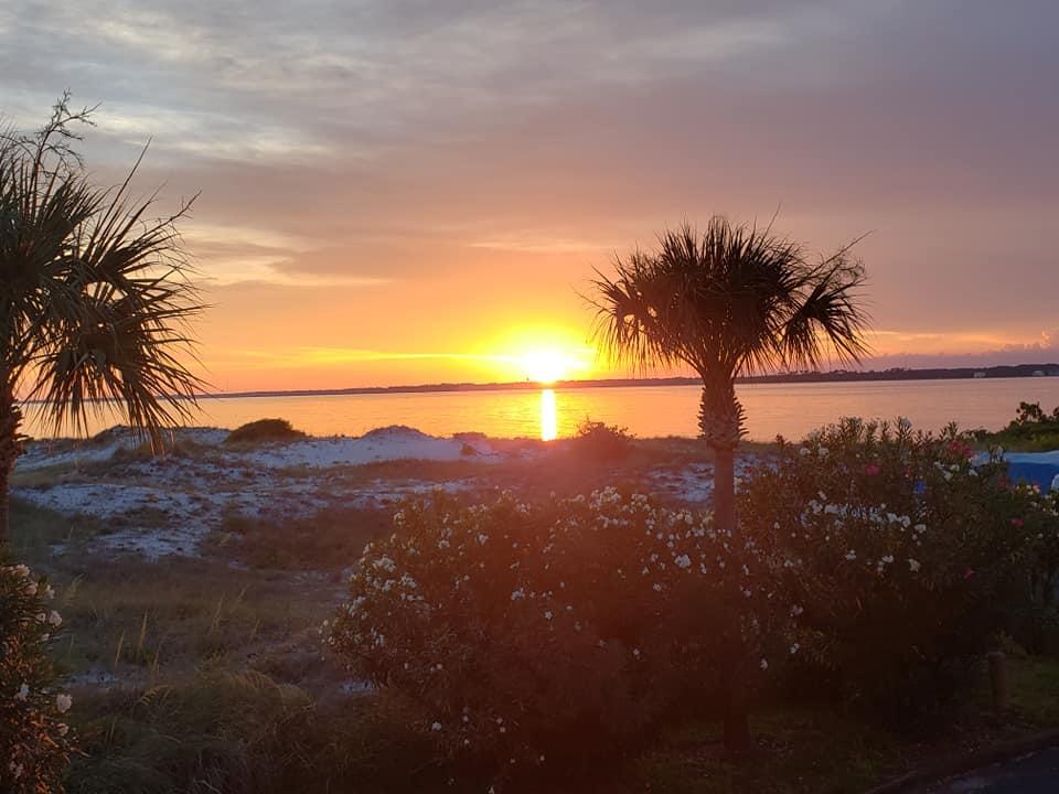 PARADISE POINT T/H - Residential