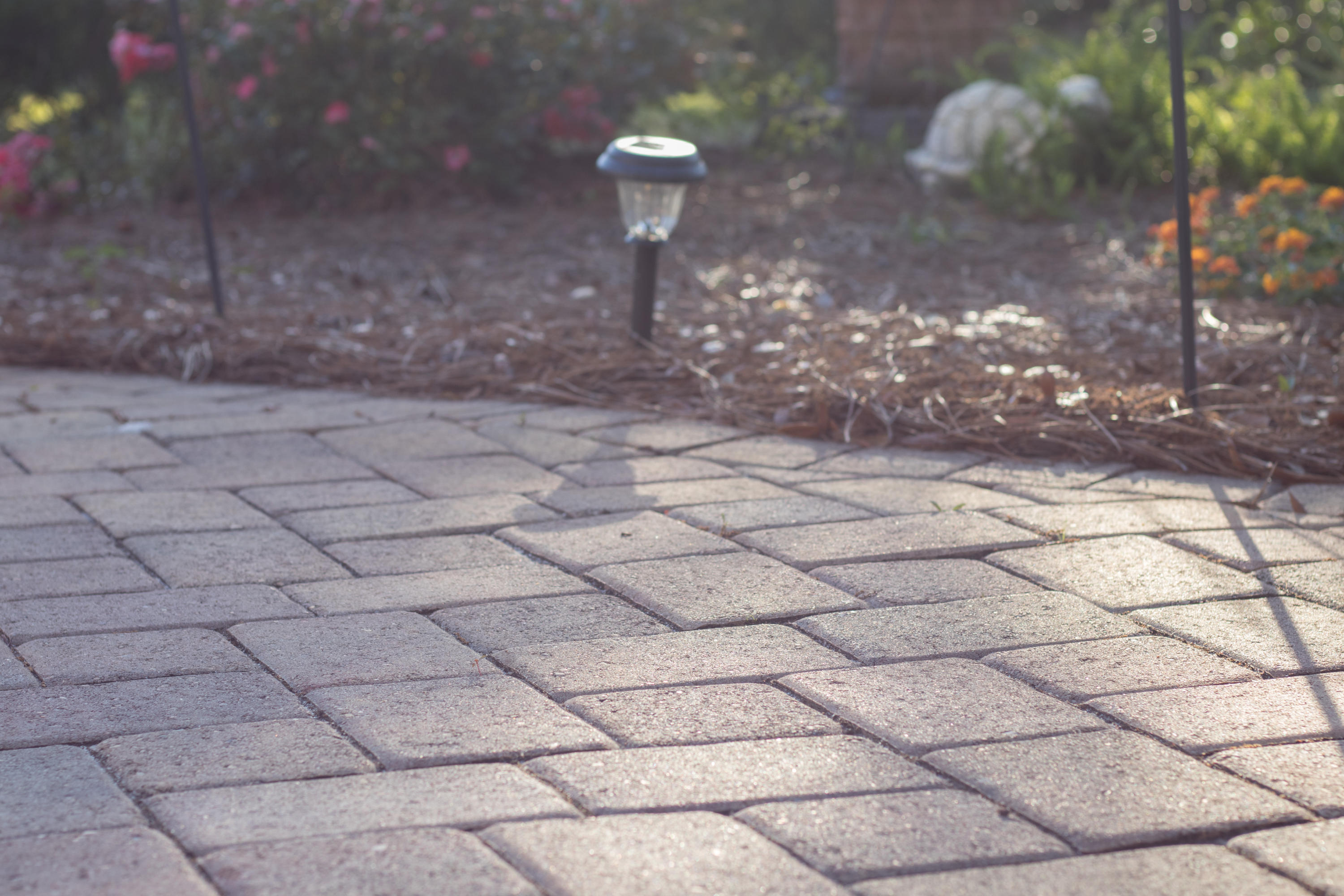 PALMETTO DUNES - Residential