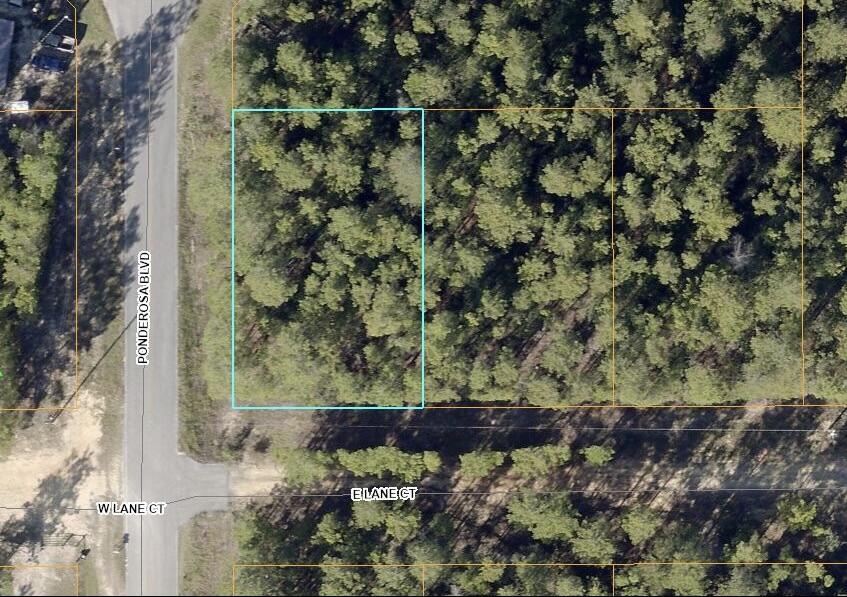 Nice .23 acre lot located in OAKWOOD HILLS UNIT 3 on a paved road. Perfect for your new home. There's minimal restrictions & no HOA. Mobile homes are allowed. Power is available at the street. A private well & septic tank is needed. Located in flood zone X & level. Zoned rural low density. Per the Walton County GIS mapping, the property does not appear to have wetlands. Easy access to the I-10 & CR 285 south. You will be approx. 45 minutes to the beautiful white sandy beaches of the Emerald Coast.