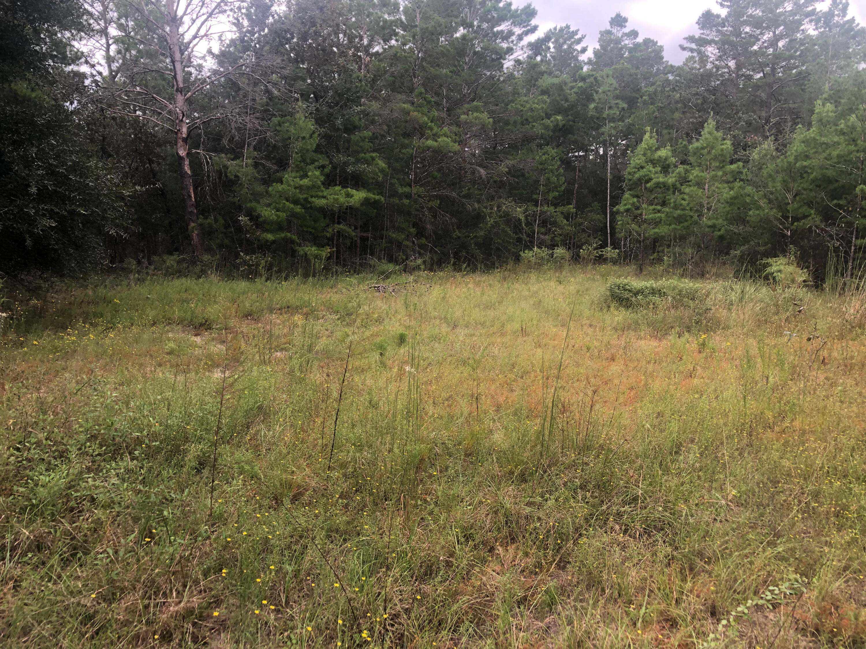 HINOTE COMMONS - Land