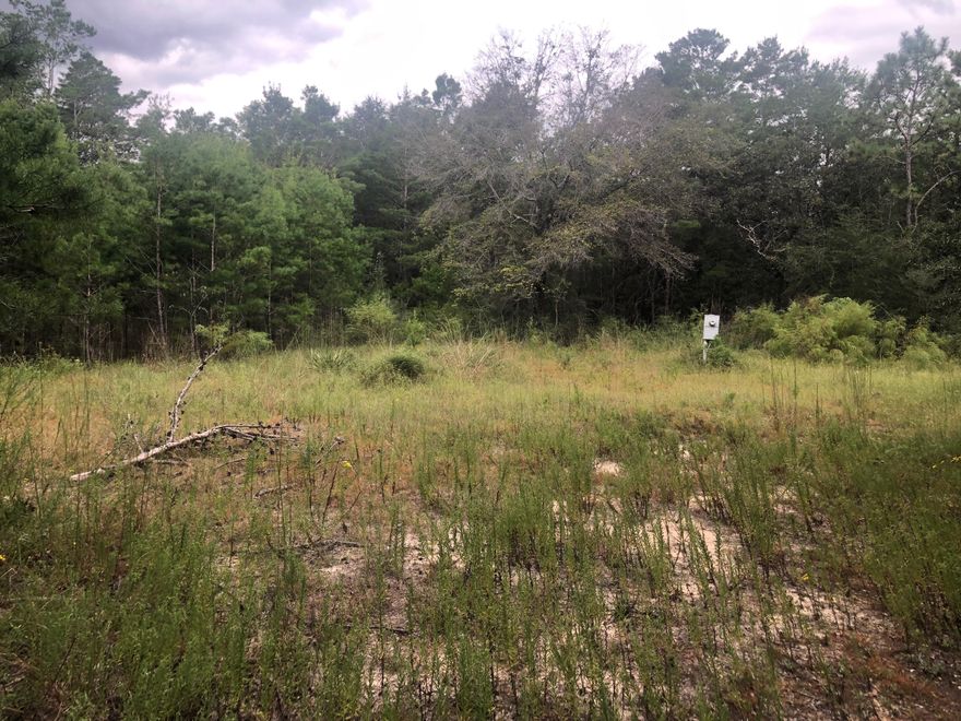 Looking for a location off the grid but still close to town? This is it. 4.7 acres of level, high, and wooded land. It already has electricity, water, and a septic tank. Only about 20 minutes to Crestview, this convenient location could make a perfect retreat. Already has a driveway and partially cleared for a home. Bring your RV or mobile home - or build a new single-family residence. It could even be used as a hunting camp. This property is versatile! Go see it today.Zone Class: Rural ResidentialFuture Land Use Class: Rural Residential