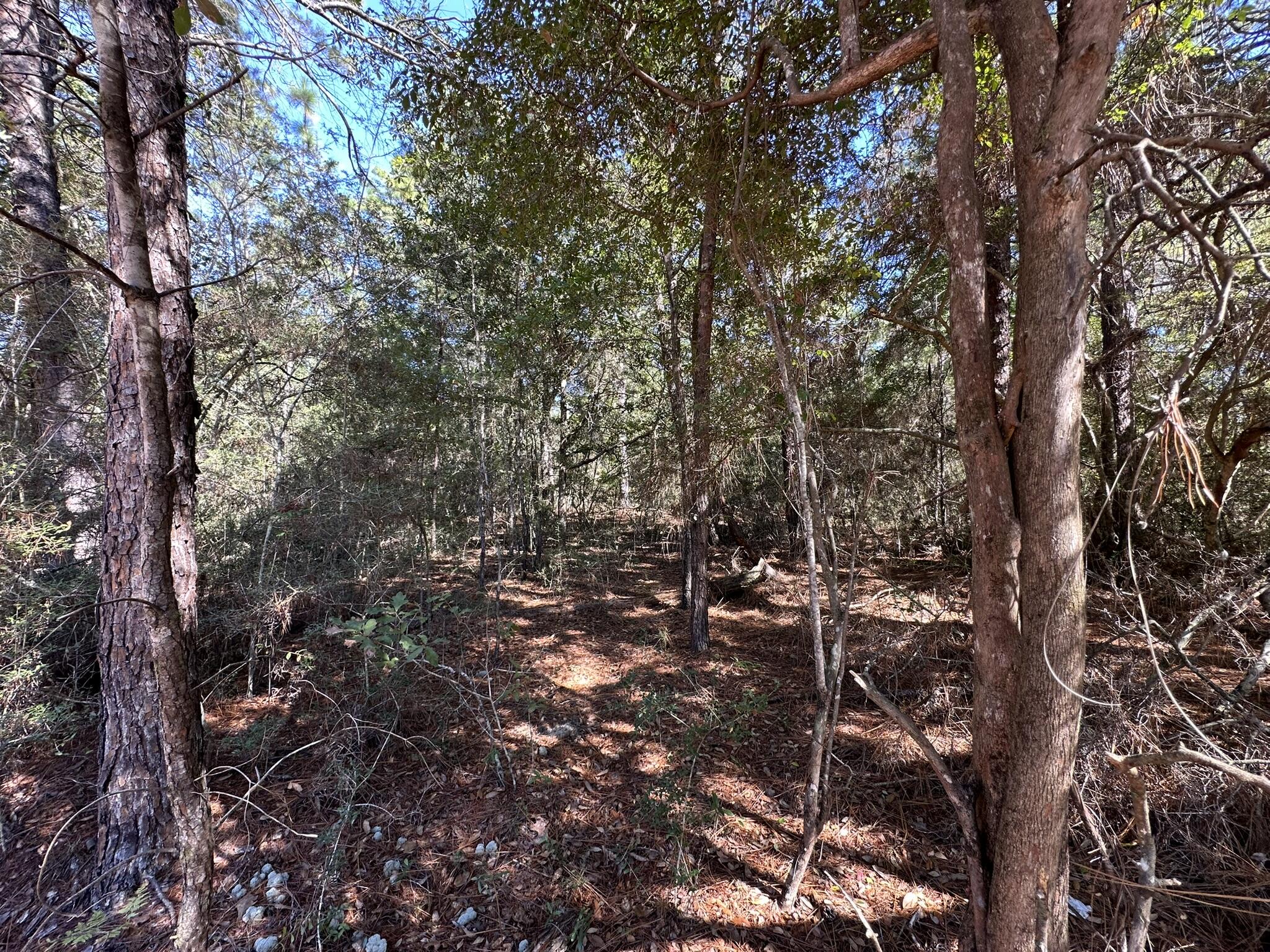 UNRECORDED SUBDIVISION - Land