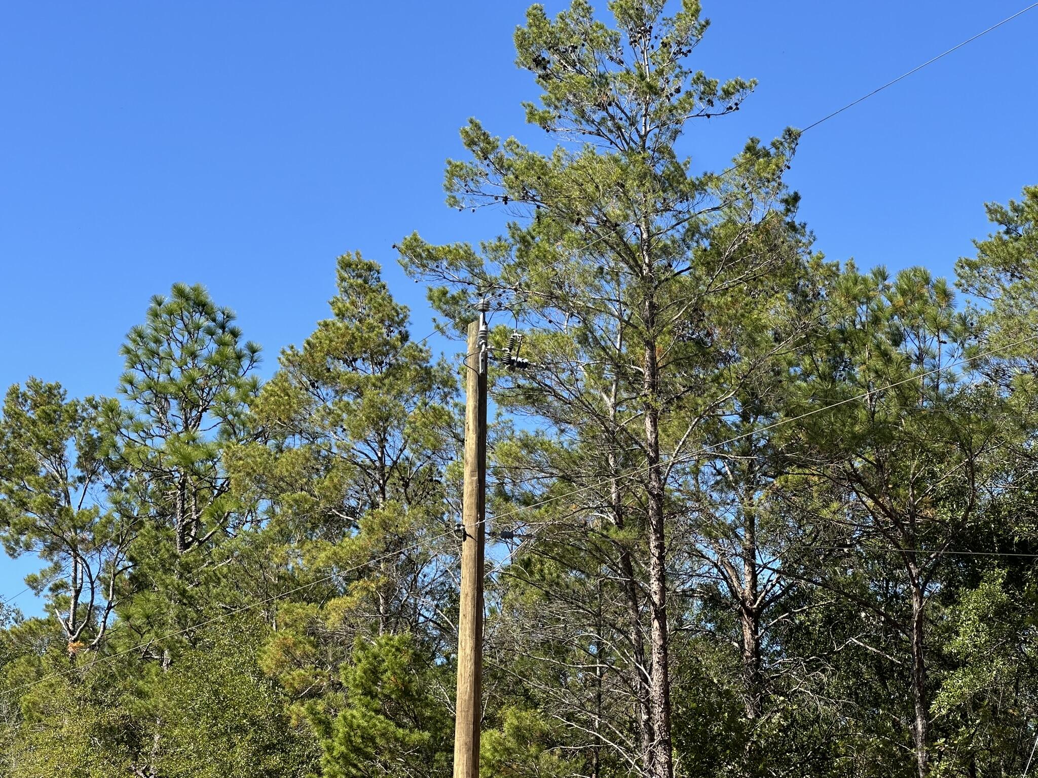 UNRECORDED SUBDIVISION - Land