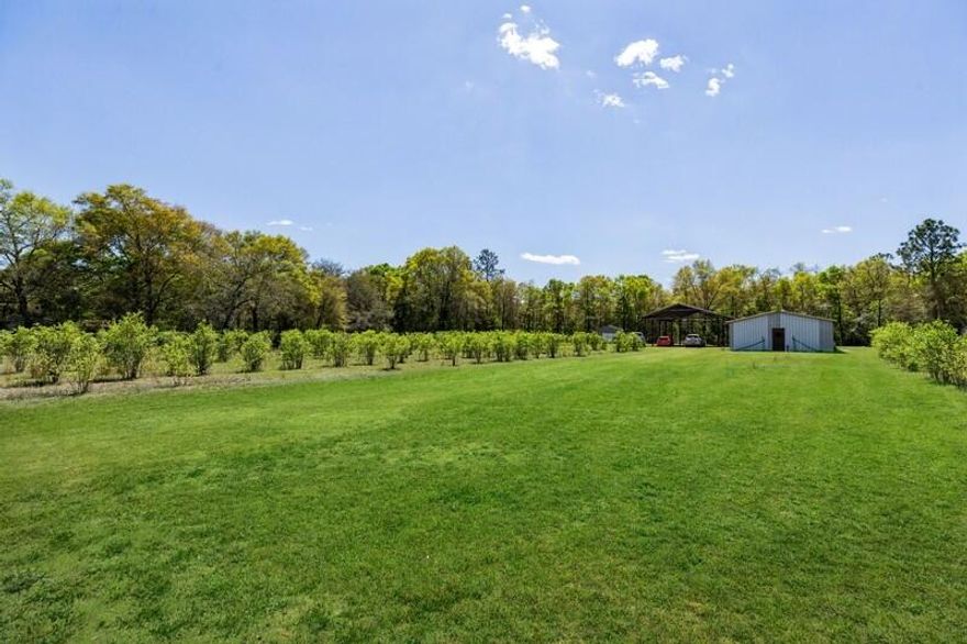RARE FIND...Working USDA Qualified Farm and Apiary with a residence and workshops and featuring over 500 blueberry trees as well as a smaller assortment of fig and olive trees and a muscadine orchard to boot!  Oh, how about a six stall barn set up for raising any kind of fowl with wire and pass-throughs set up between them?  Very clean and efficient residence features a large living area up front, a comfortable bedroom and common area and cozy eat-in kitchen with all of the creature comforts.  On the grounds, you will also find another large barn divided into sections including two workshops, a wine cellar, expansive dry storage area and housing a 15.5' x 17.5' walk in freezer (not currently connected/charged)