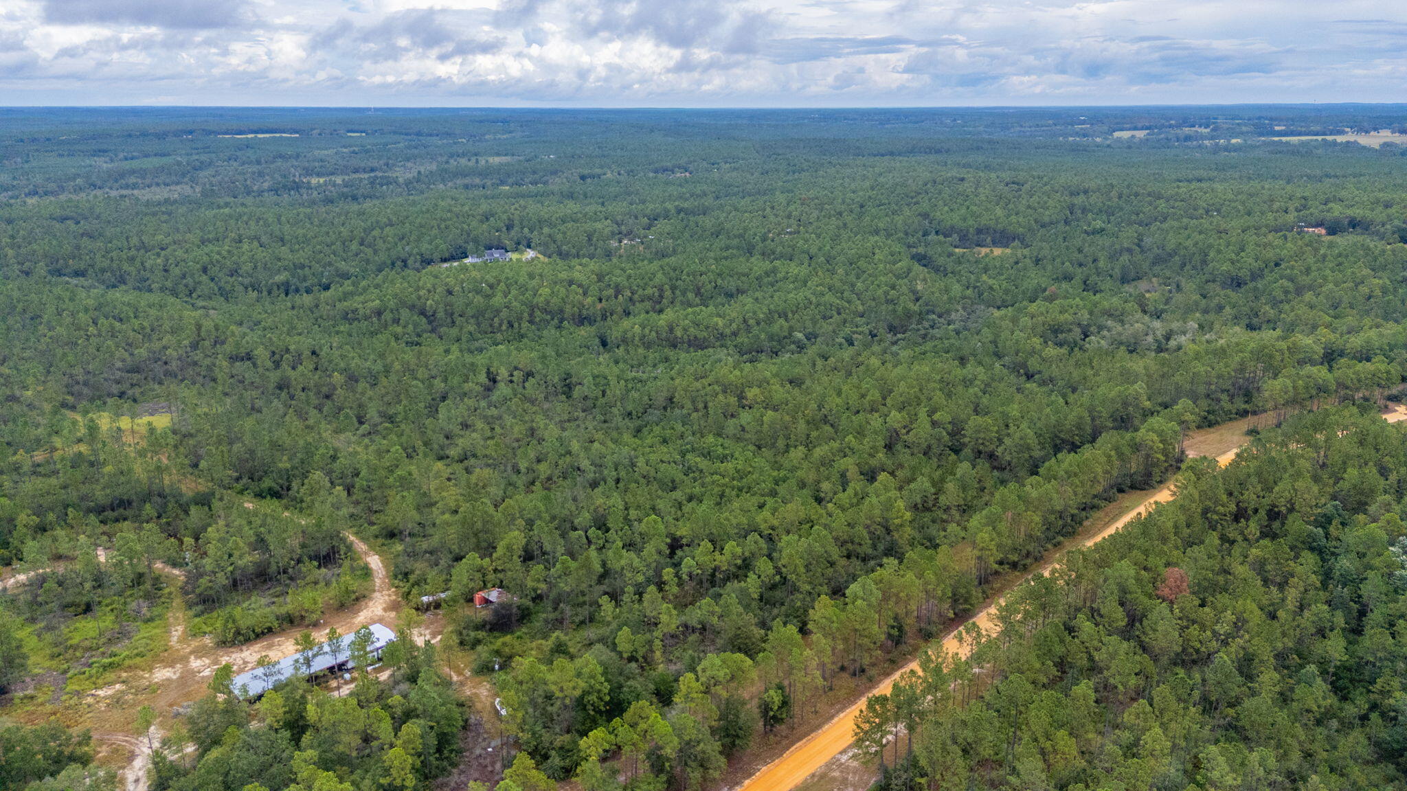WALTON PLANTATION - Land