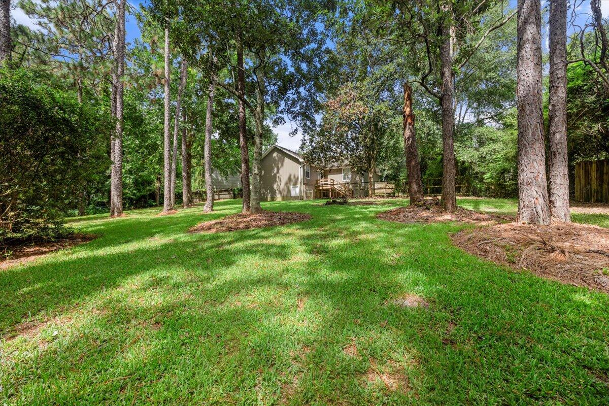 Shoal Creek - Residential