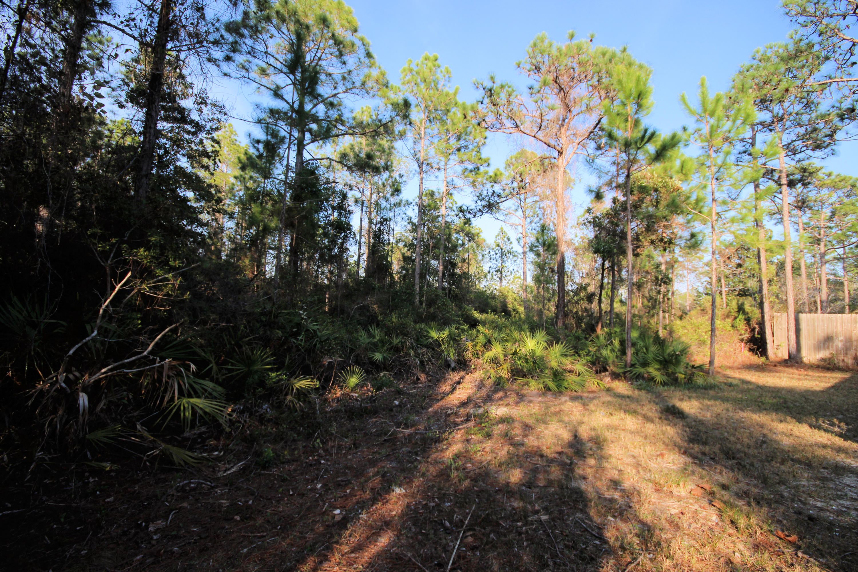 WOODBERRY FARMS UNREC - Residential