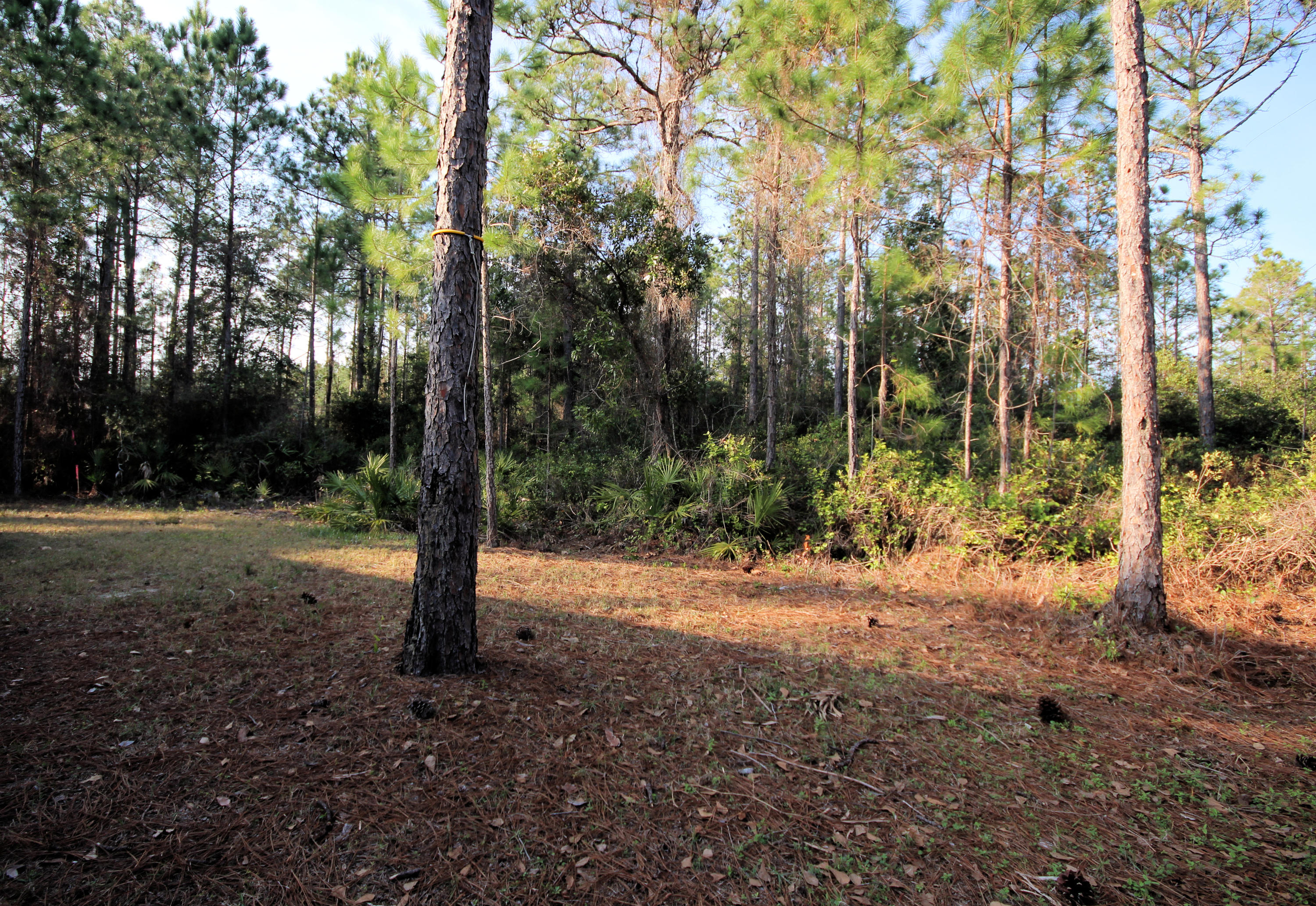 WOODBERRY FARMS UNREC - Residential