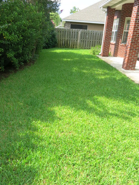 BRIDGEPORT COLONY - Residential Lease