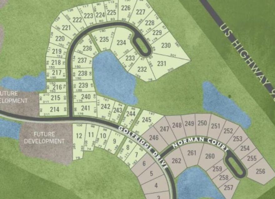 Lot 240 Watersound Camp Creek.
