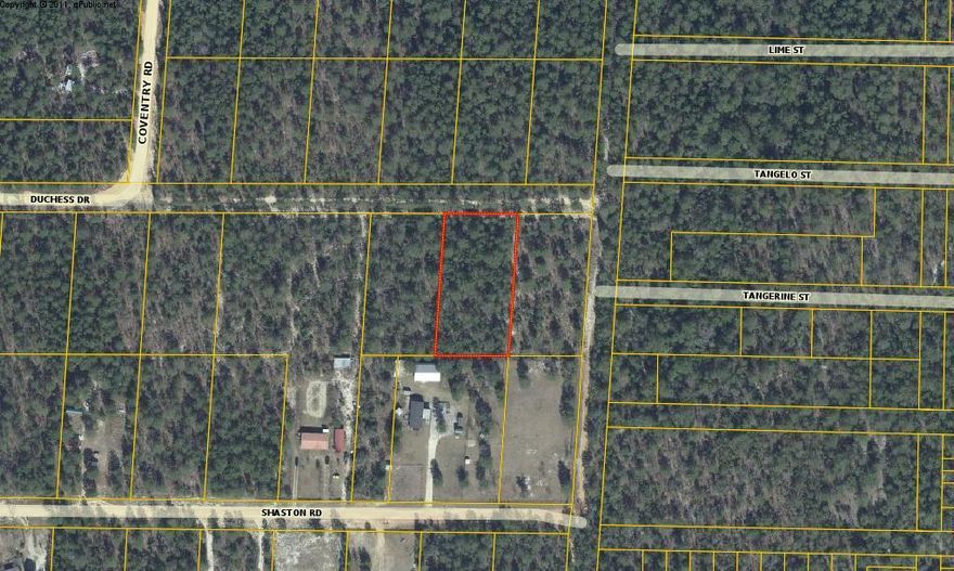 Flat, wooded lot best suited for a cabin or tiny home. Could also be a great weekend getaway. Power is on Duchess Drive, but will require a well and septic.
