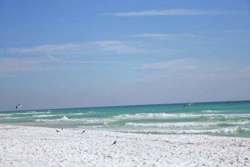 This condo is fully furnished. lots of upgrades. Condo is just behind Grand Blvd in Miramar Beach  with Movie theater, shopping and restaurants. Hospital is close by. Condo is 10 min from the Beaches as well as the Bay. Condo has community pool as well as gym for residents. no pets. A security deposit of $1,000 will be required.