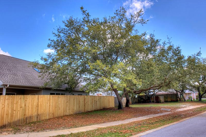 Shalimar Commons - Residential