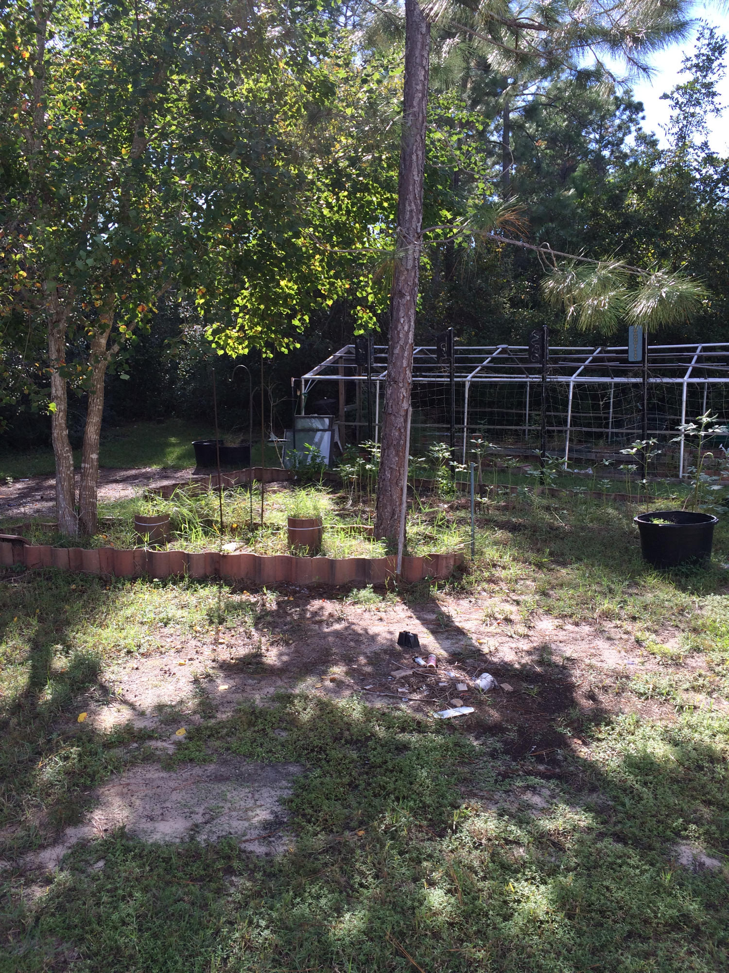 SHADOW BAY UNIT 1 - Residential