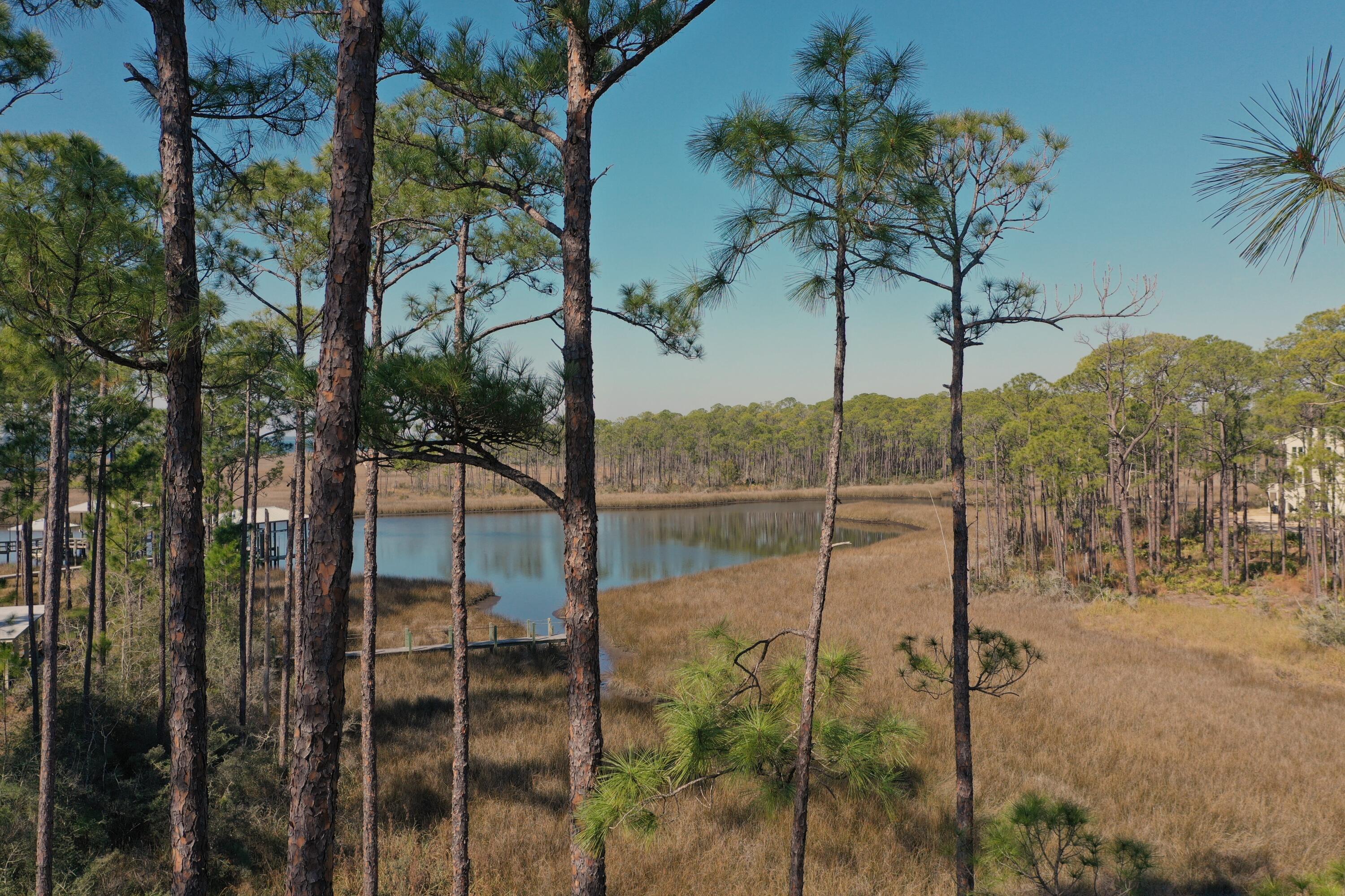 CESSNA LANDING - Land