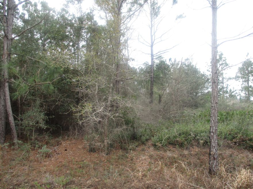 Nice sized lot with new homes in the area
Survey shows property is located in zone X