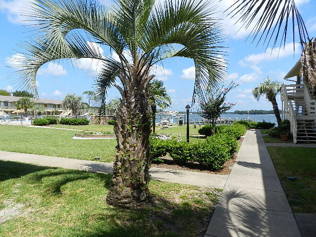 Condos being Sold AS IS and firm on price. If you are looking for quiet condominium living on the bay in Shalimar, you need to see this unit. 6B is located on the ground floor with a view of the bay and just a few steps from the swimming pool, boat dock and boat slip (on available basis). This is a 3 Bedroom/2 Bath unit. The living room is spacious with a great view of the bay. A small dining area in the living room is possible. The master bedroom has another fabulous view of the bay. The smallest bedroom could be used as a separate dining room or tv/office. There is an on-site laundry facility. Home owners fees include pool, water, sewer, basic cable, trash, grounds and exterior; Best Price on the Bay! Come and view.