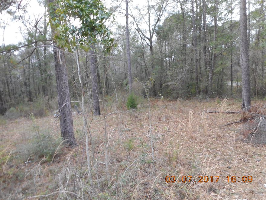 4.9 acres located directly across the street of Ponce de Leon elementary school. Land has city water, a septic tank, and a small yard building. There was previously a trailer on the lot. Within 100 ft of paved road. No restrictions. Can't beat the price! Call today!