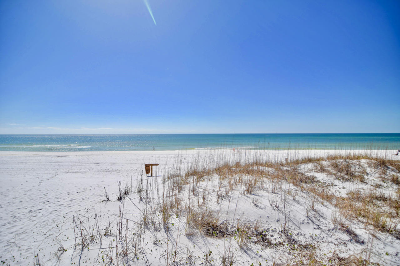 AVALON BEACH ESTATES - Residential