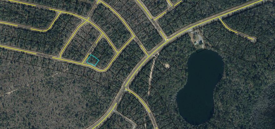 Beautiful .295 acre CORNER lot nestled in the country but also approx. 30 mins from the white sandy beaches, shopping, dining, and entertainment. You wont have to drive far to enjoy the cold water being this lot is a street over from the lake equipped with a boat ramp, dock, and pavilion for your picnic. Sounds refreshing, right? It does not end there with amenities for this NO HOA subdivision. Enjoy a day at the Country club playing the golf on the 18 hole green, or enjoy the summer hitting the numerous lakes for all your water sports activities, swimming, fishing, and picnics with friends