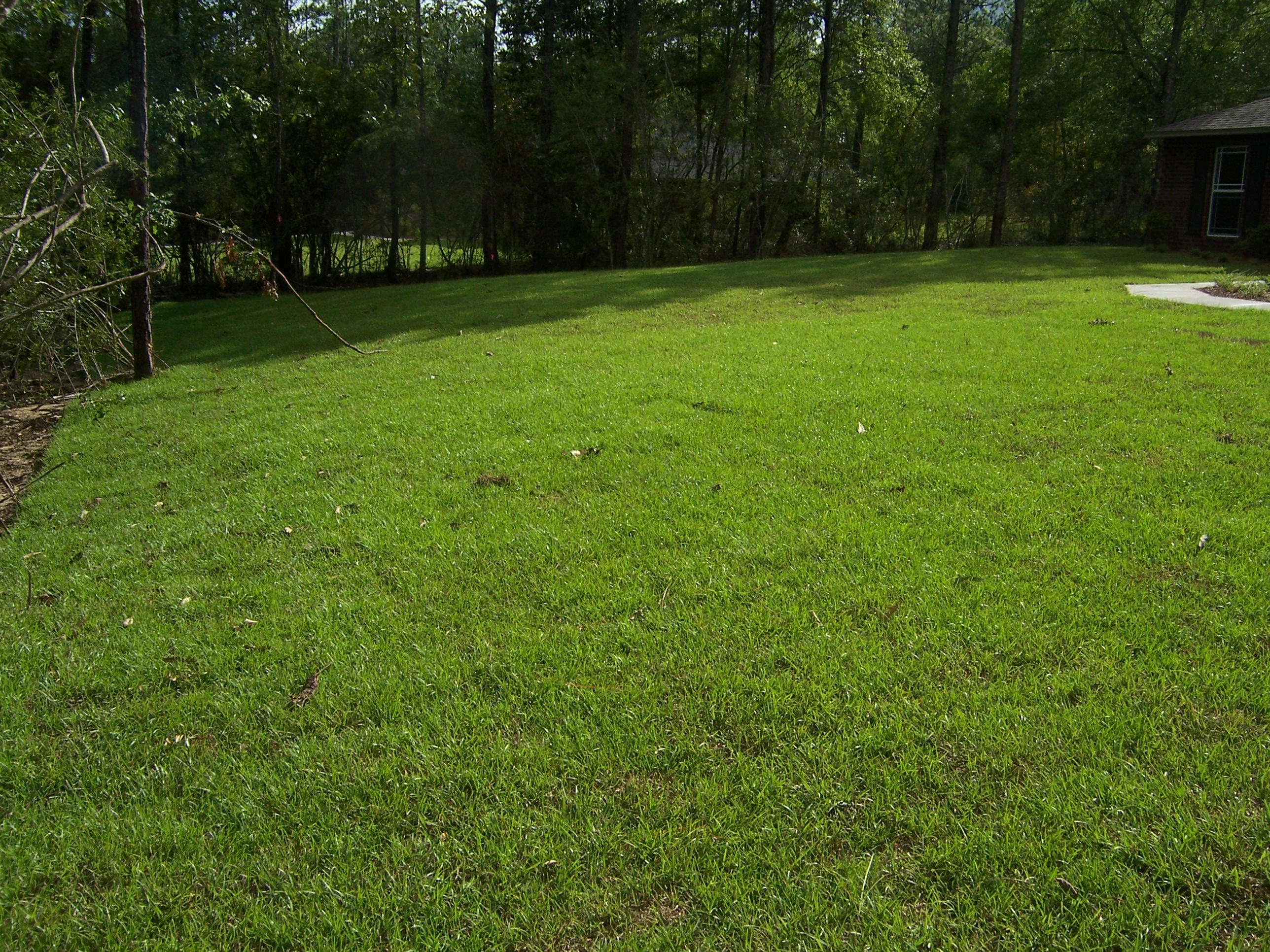 Yellow River Plantation - Residential