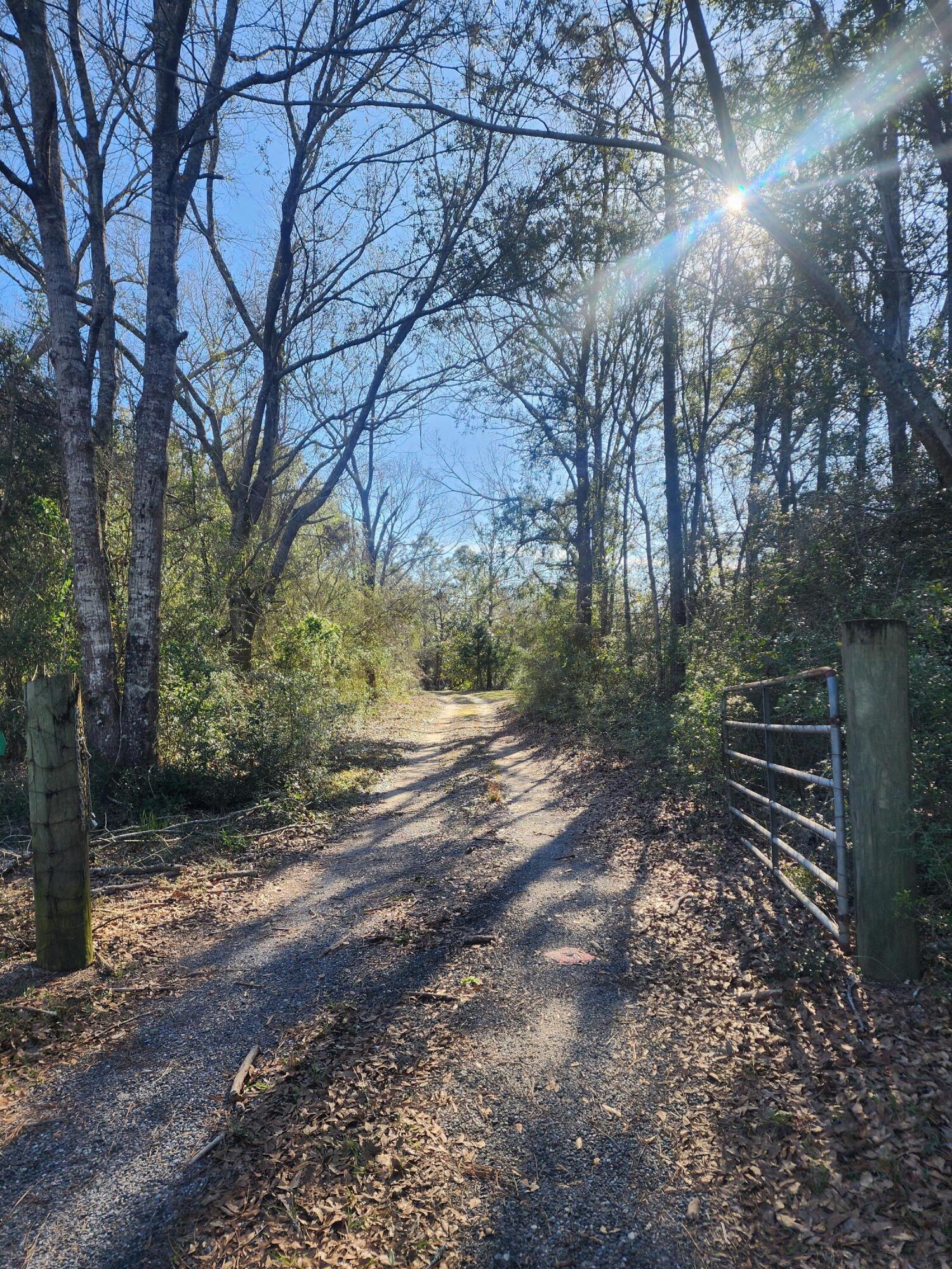 Absolutely *gorgeous* 10 acres with mature trees yet plenty of cleared space to build your dream home with long gravel drive off main paved road, with total privacy all around! Well and septic. Mobile home given no value, sold AS IS.