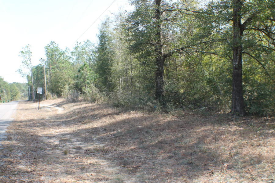 Homesite Dream! Huge hardwoods small creek and lots of Paved road frontage! This location is in the Auburn area near the new developing commercial of North Crestview! With highway 85 near by its just a quick commute to Crestview, Eglin and Destin Beaches! Bring you barn, RV and your house-plans today! Additional acreage available!!
