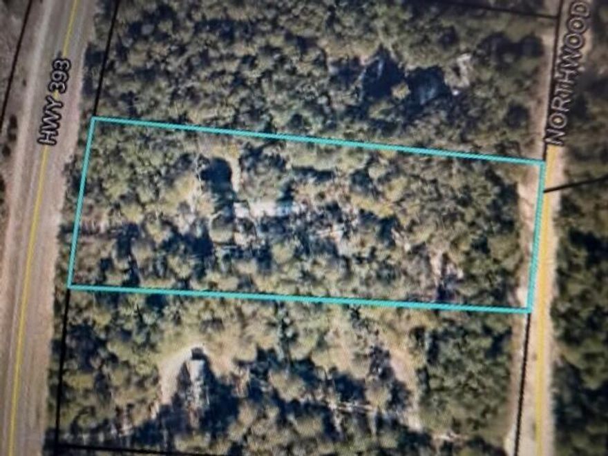 Build your dream home on this beautiful 2.10-acre property! Offering the perfect blend of privacy and convenience, this versatile parcel provides paved road access from Highway 393 as well as additional dirt road access to the rear of the property.Utilities are readily available with water and power at the road, and the lot is ready for a septic system, making it ideal for your future build. With endless possibilities, this property is suitable for a single-family home, mobile home, or manufactured home.Conveniently located just 15 minutes from Crestview and approximately 30-45 minutes to area military bases and the beautiful Emerald Coast beaches, this property offers easy access while still maintaining a peaceful, rural setting. It is also located just minutes from the Shoal River Ranch Gigasite off Highway 90, adding to its long-term value and growth potential.

Don't miss this opportunity to own land that offers both privacy and a prime location. Schedule your showing today!
