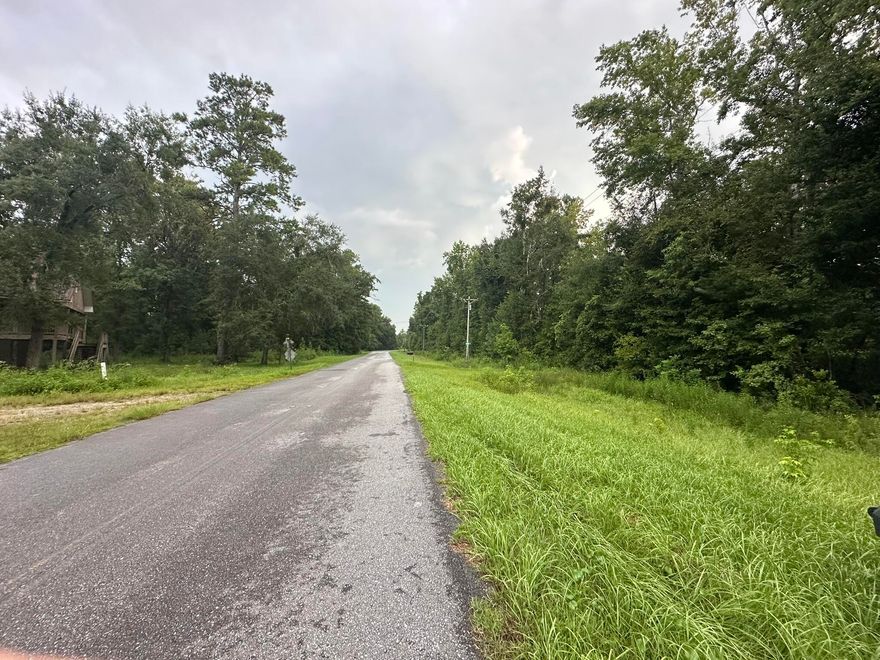 Located in a platted residential subdivision in Wewahitchka, this wooded vacant lot offers an opportunity to own property in Gulf County. Similar in size to nearby parcels, the lot retains its natural tree coverage and character, providing a setting for future residential plans subject to local requirements. The surrounding area reflects the quiet, rural nature of this part of North Florida.