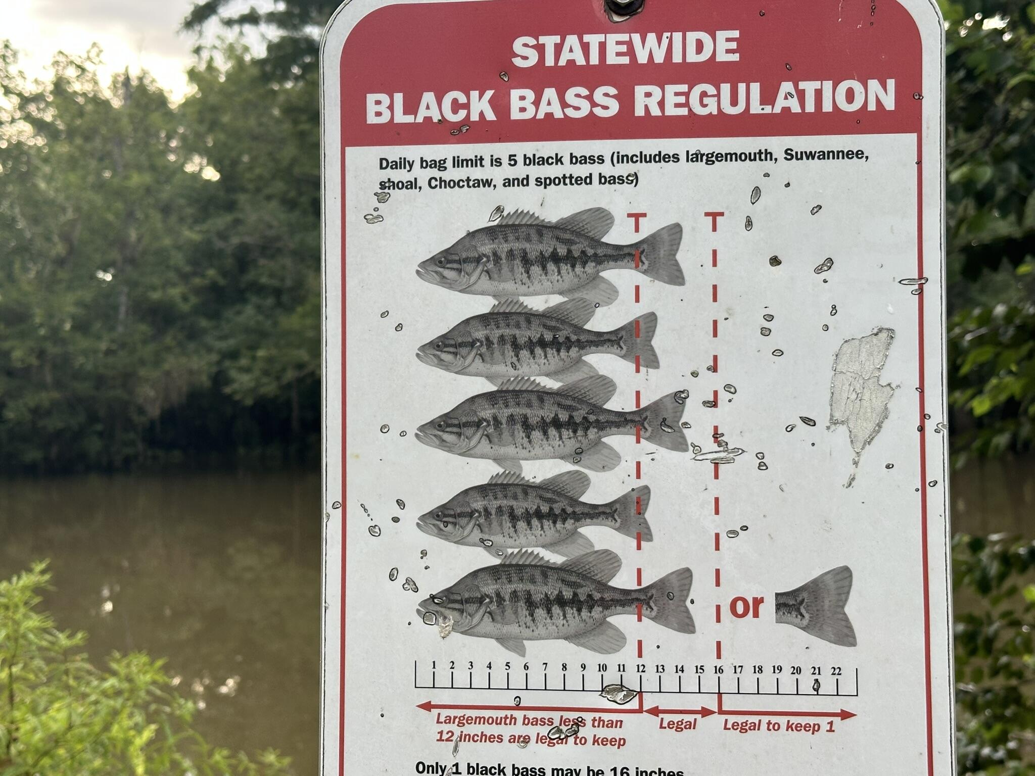 Riverside S/D - Land