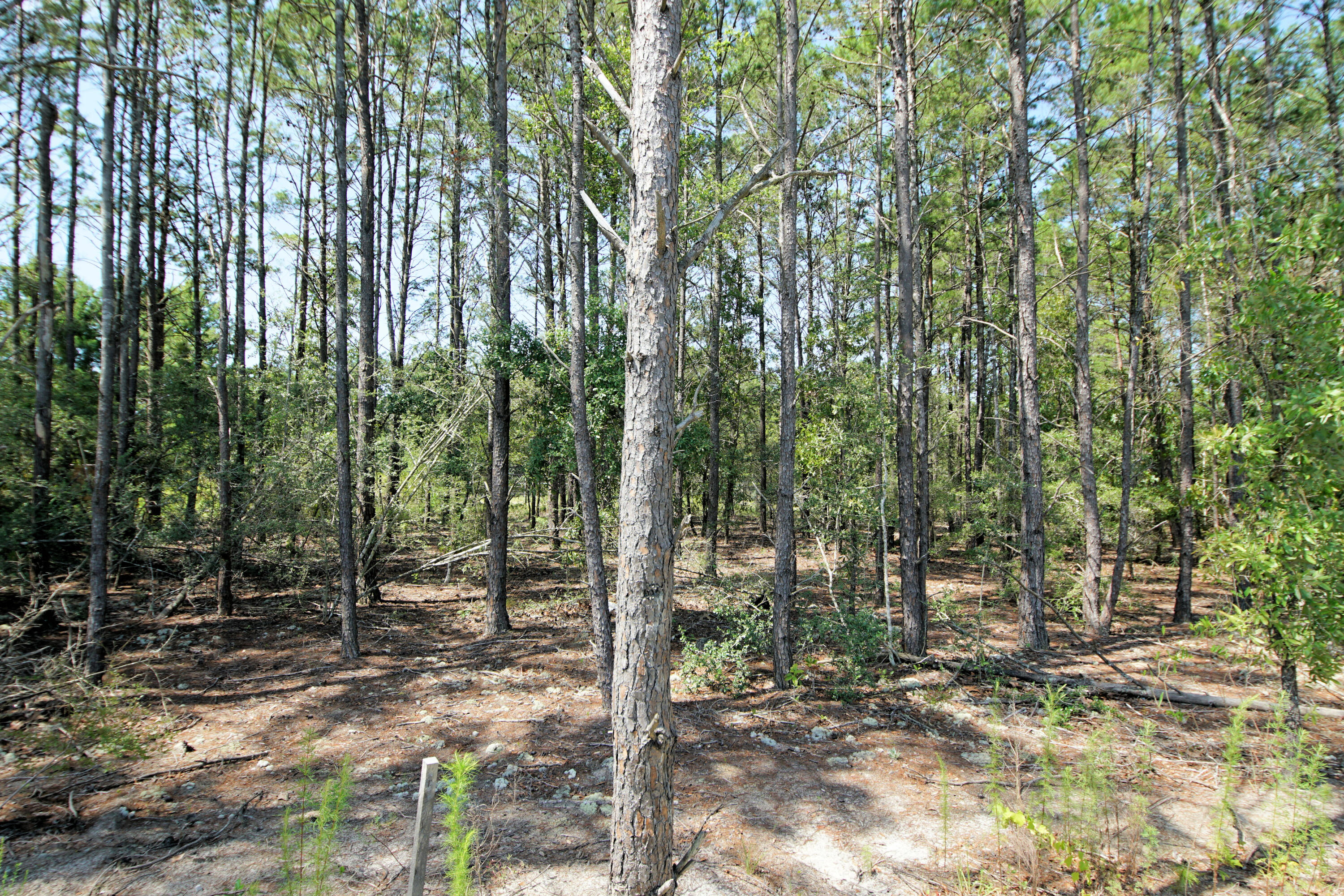 HAMMOCK BAY - MILL COTTAGES - Residential