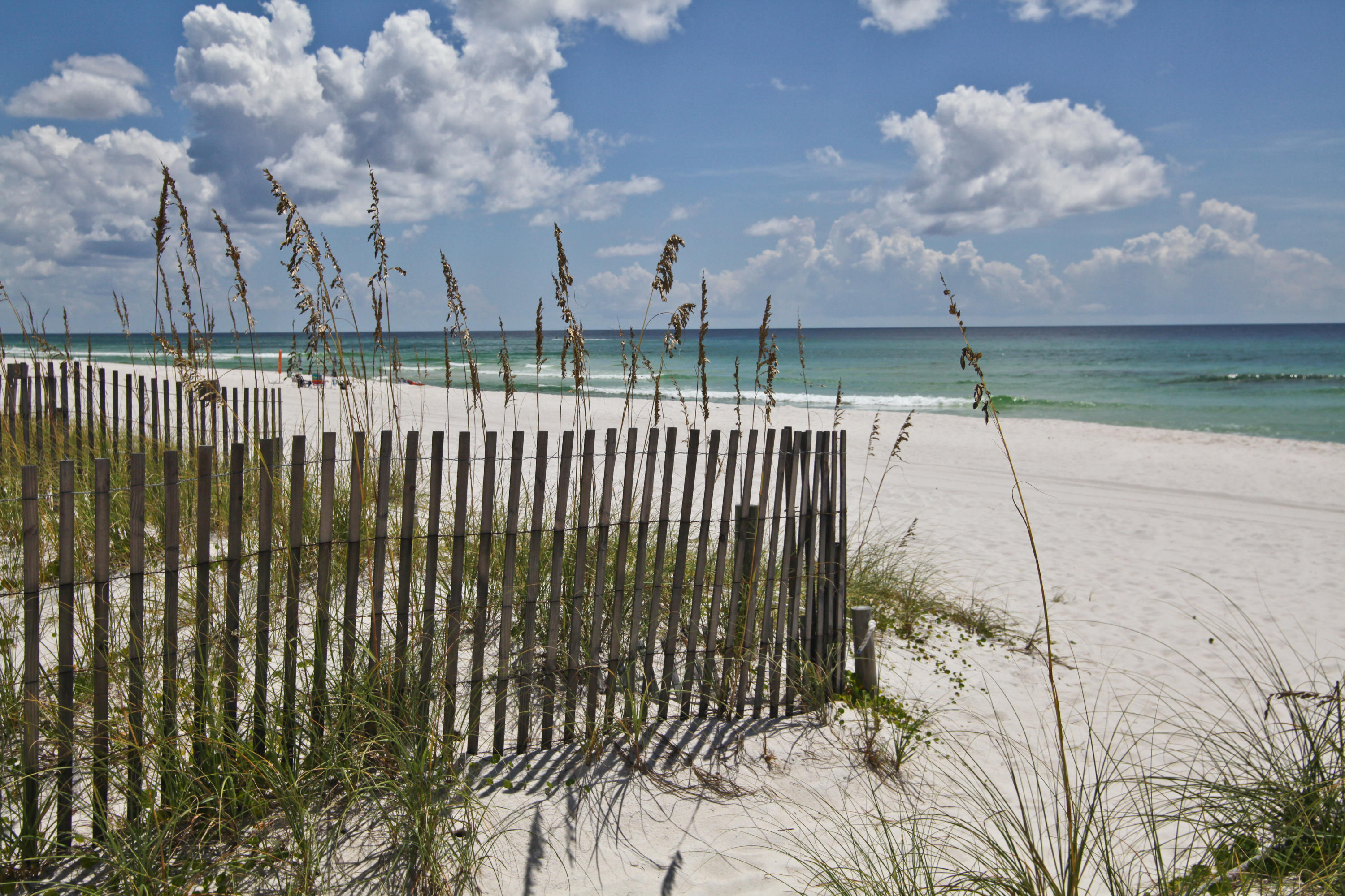 The Palms - Residential