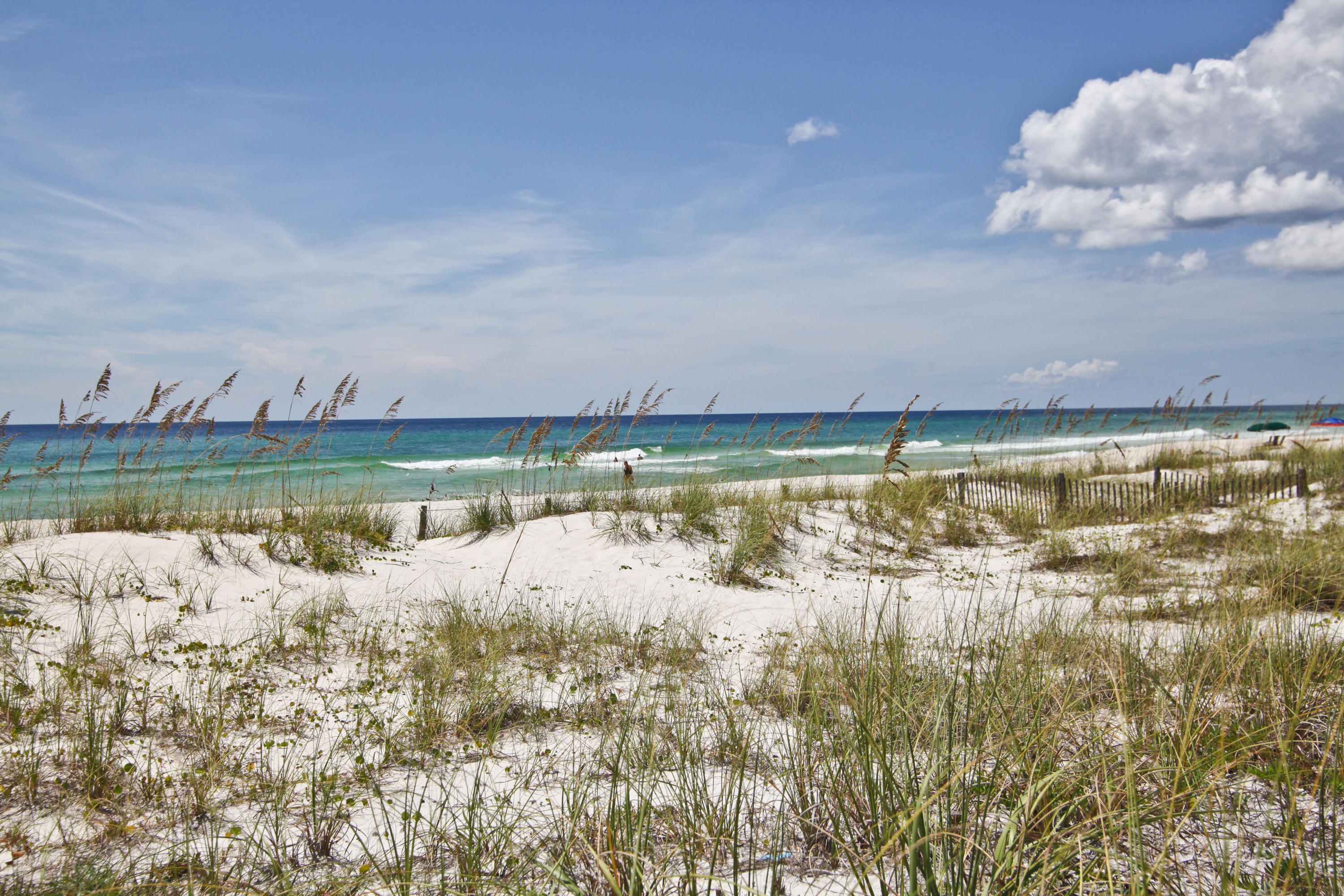 The Palms - Residential