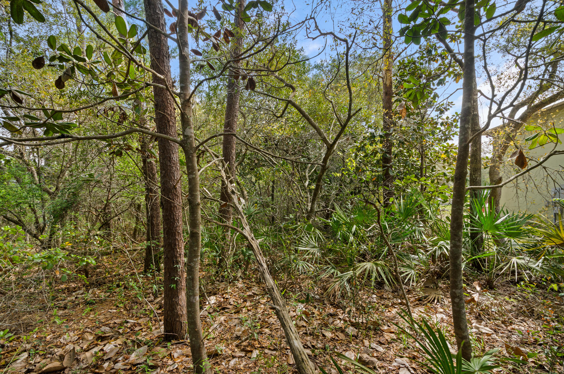 WOODLAND SHORES - Land