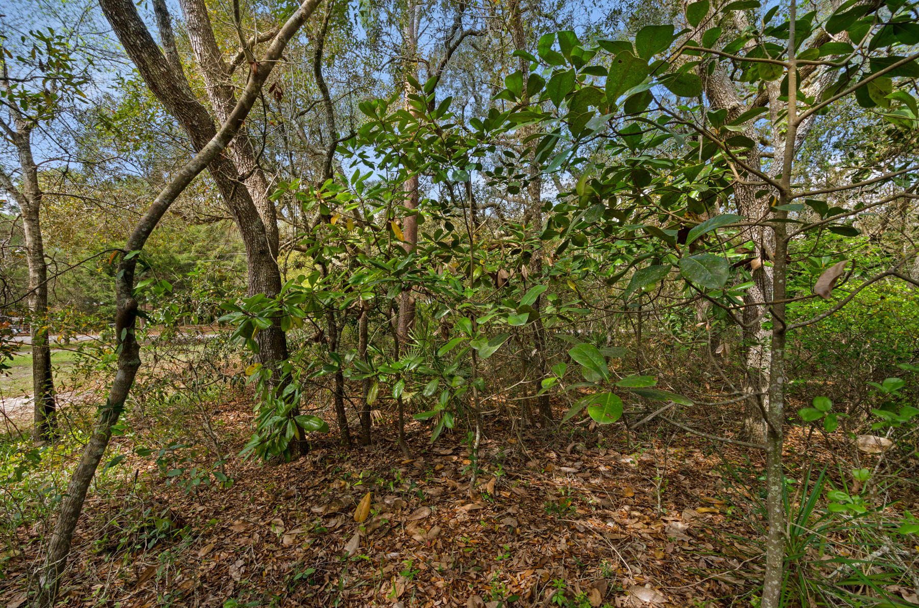 WOODLAND SHORES - Land