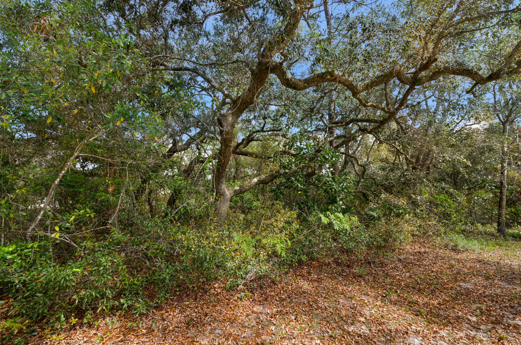 WOODLAND SHORES - Land