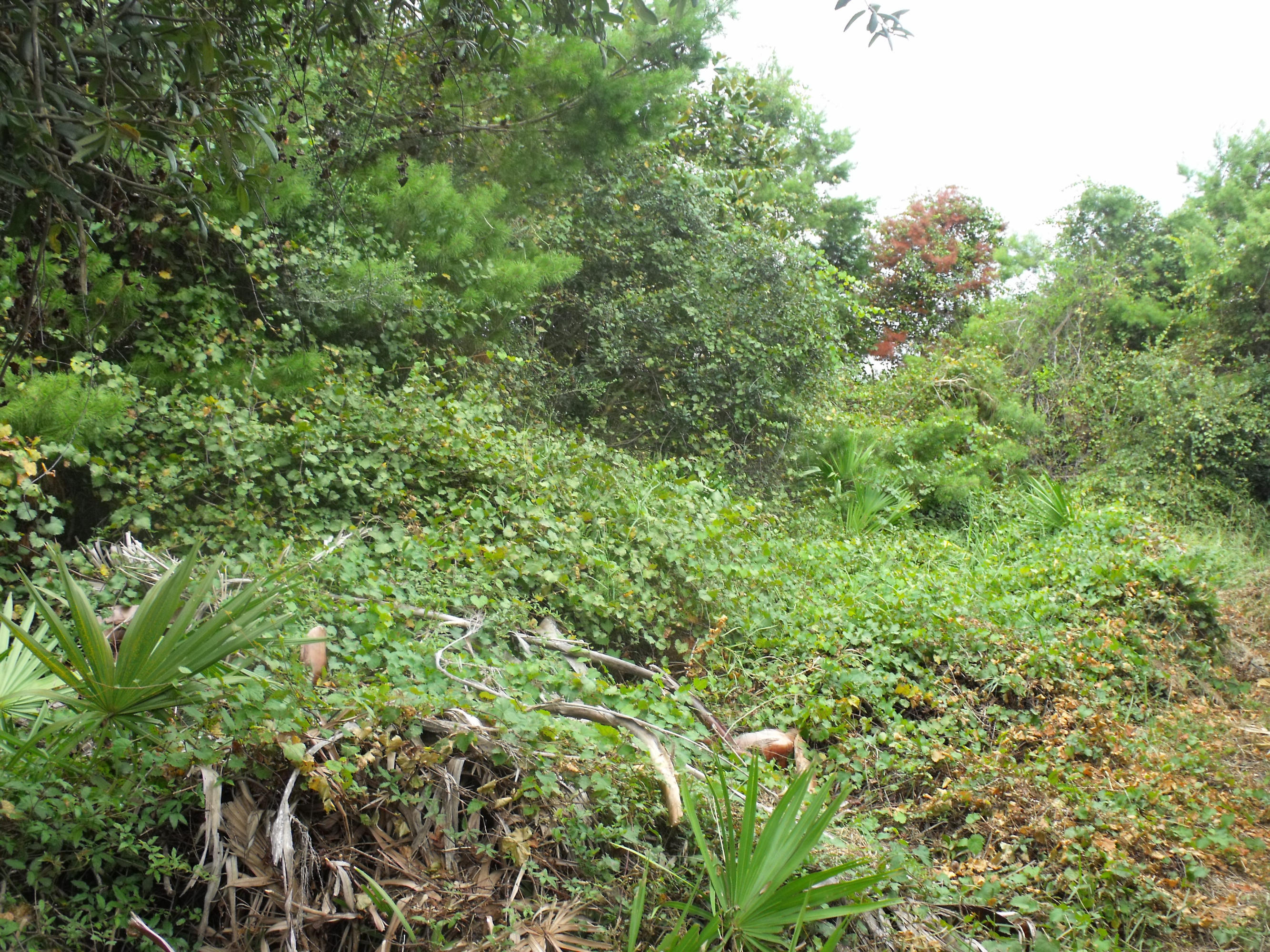 CRESCENT SHORES COMM - Land