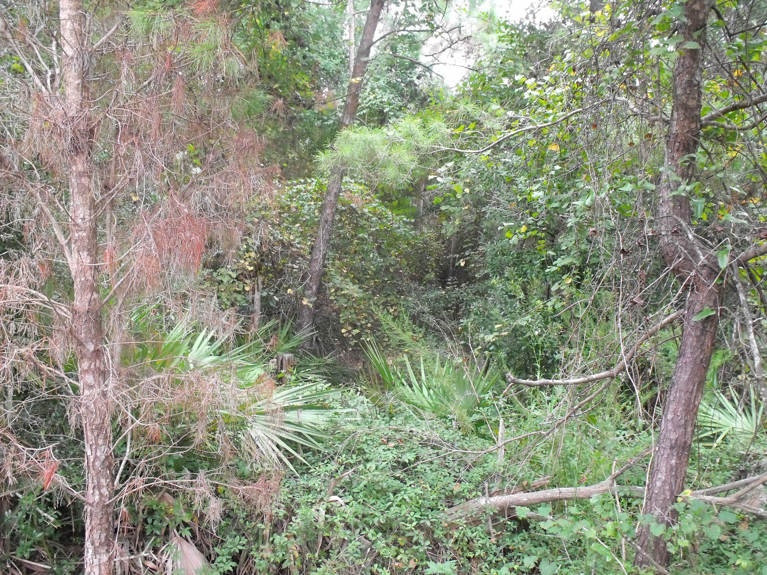 CRESCENT SHORES COMM - Land