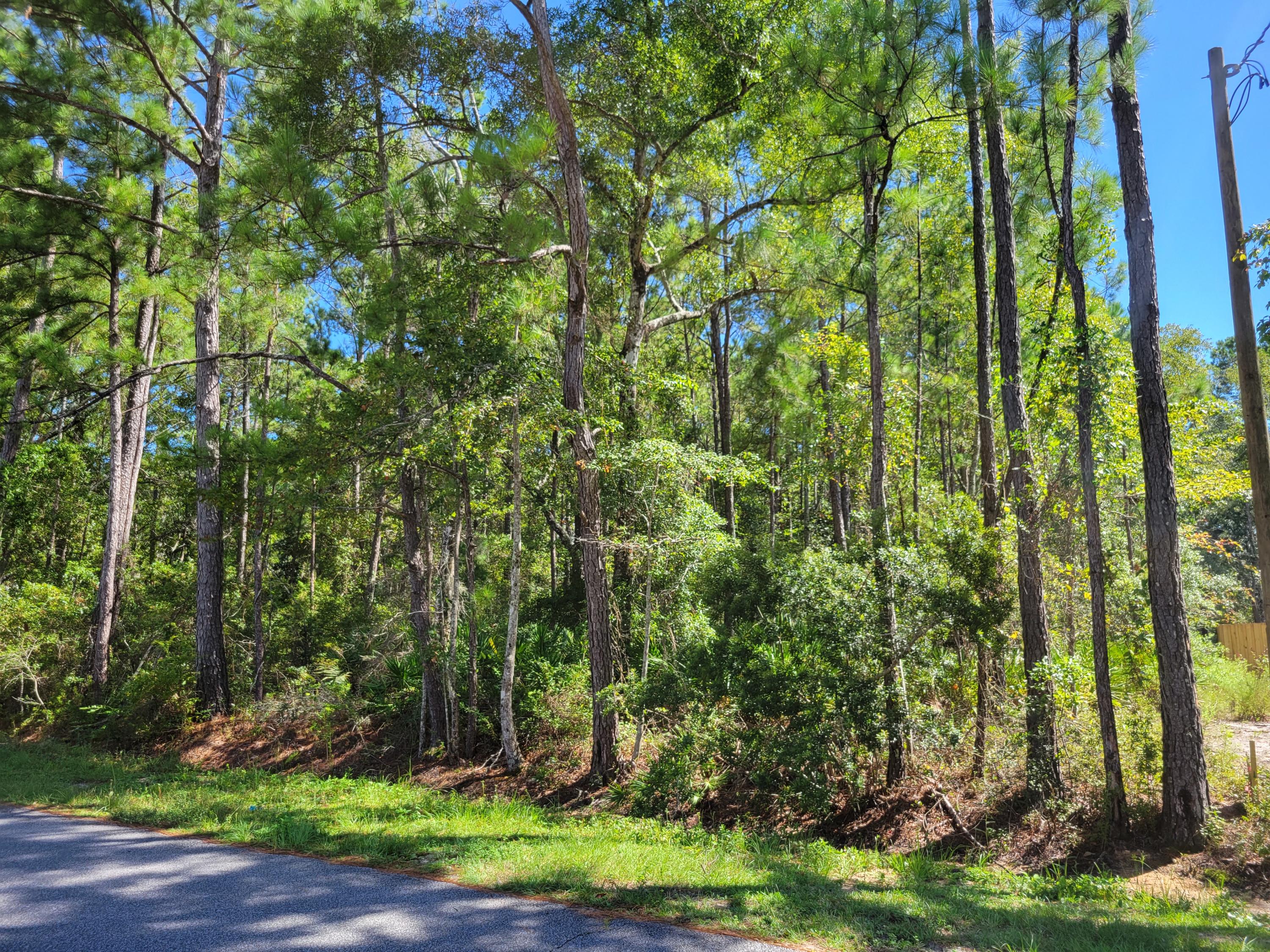 Perfect Lot to build your dream home across from the Mallet Bayou! Quick easy access to Hwy 331 and just minutes from shopping, dining, and those gorgeous sugar white sand beaches of the Emerald Coast! All information to be verified by buyer.