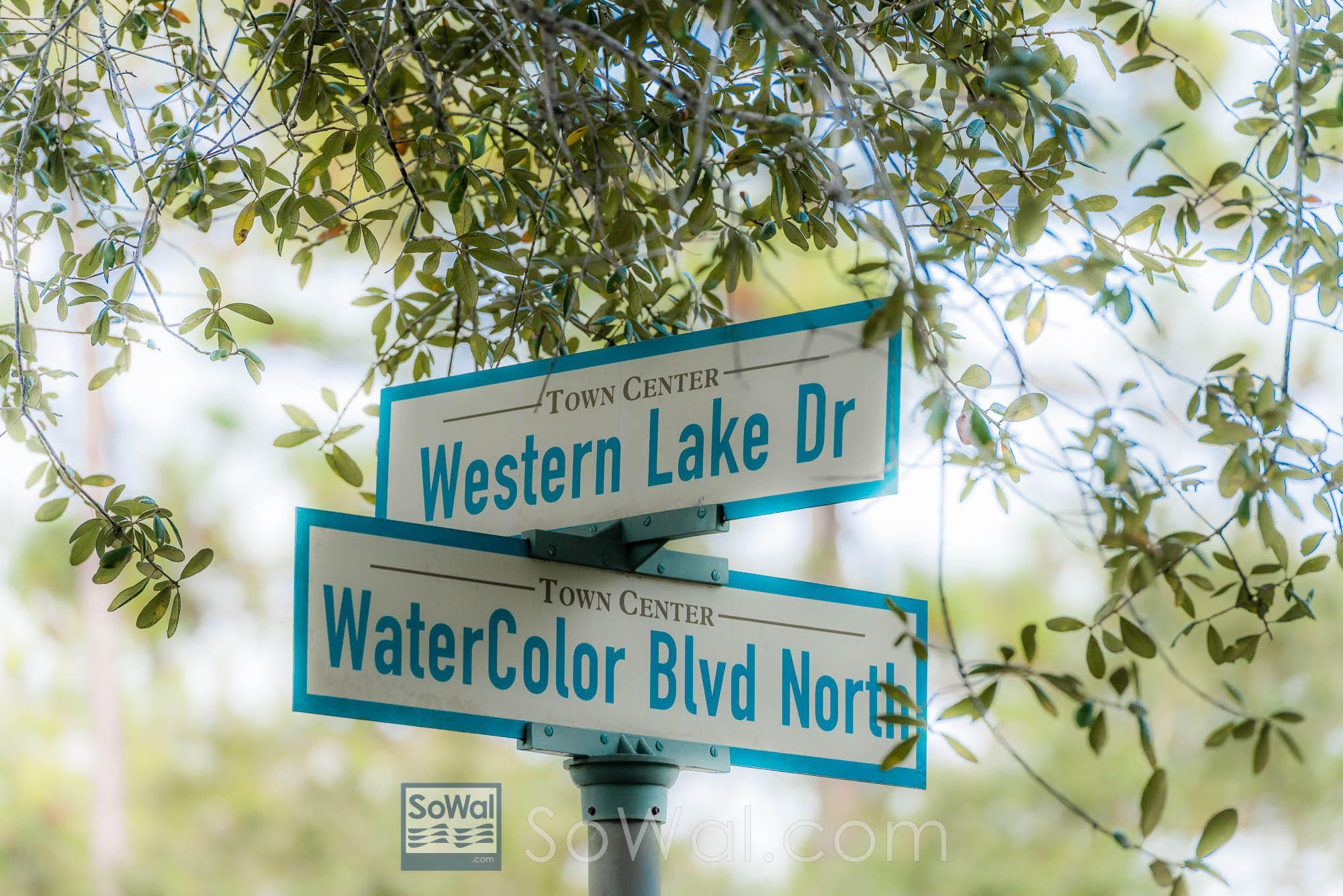 WATERCOLOR - Residential