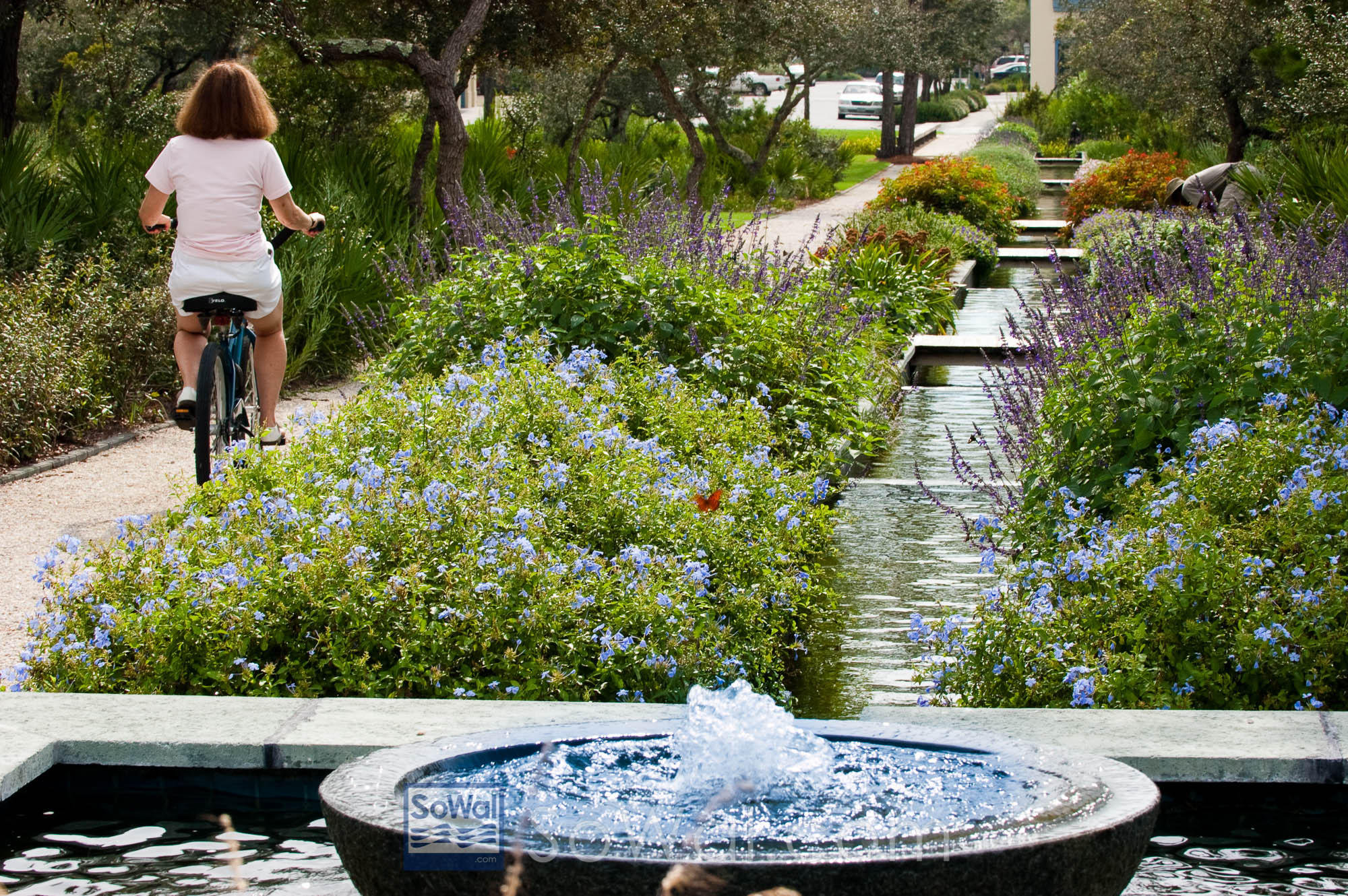 WATERCOLOR - Residential