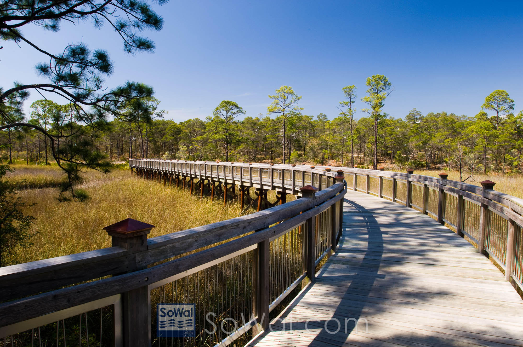 WATERCOLOR - Residential