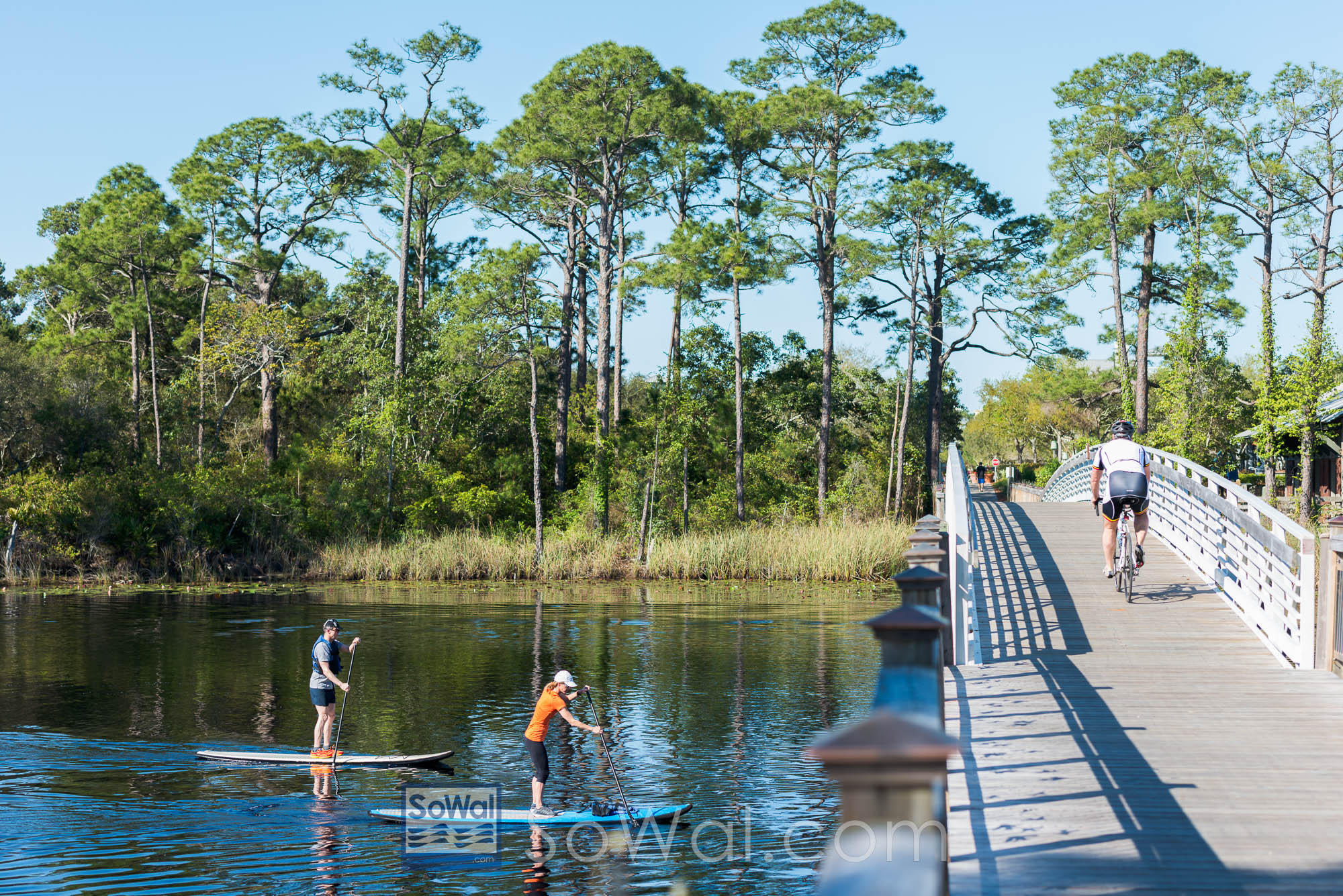 WATERCOLOR - Residential