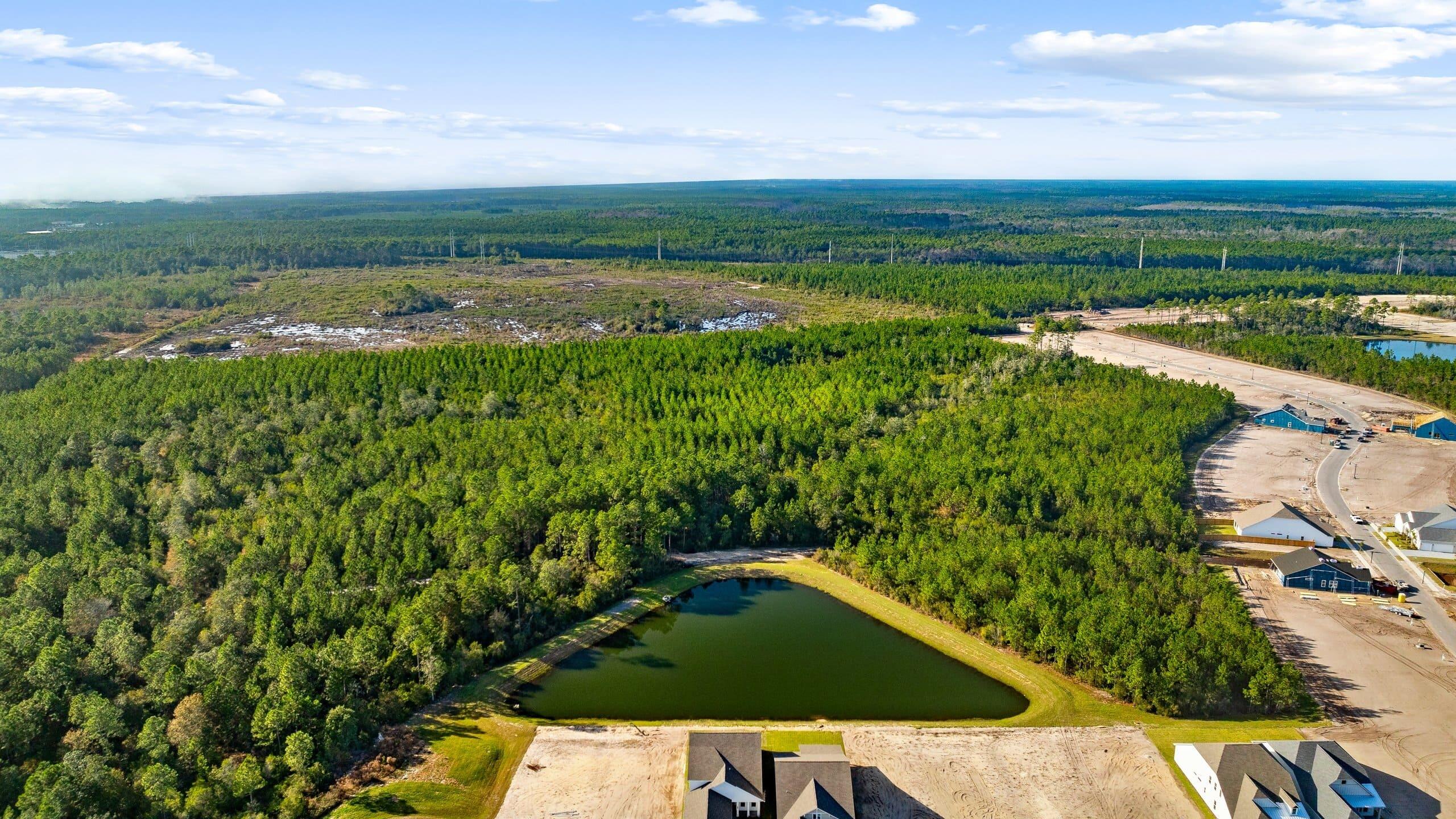 Salt Grass at Ward Creek - Residential