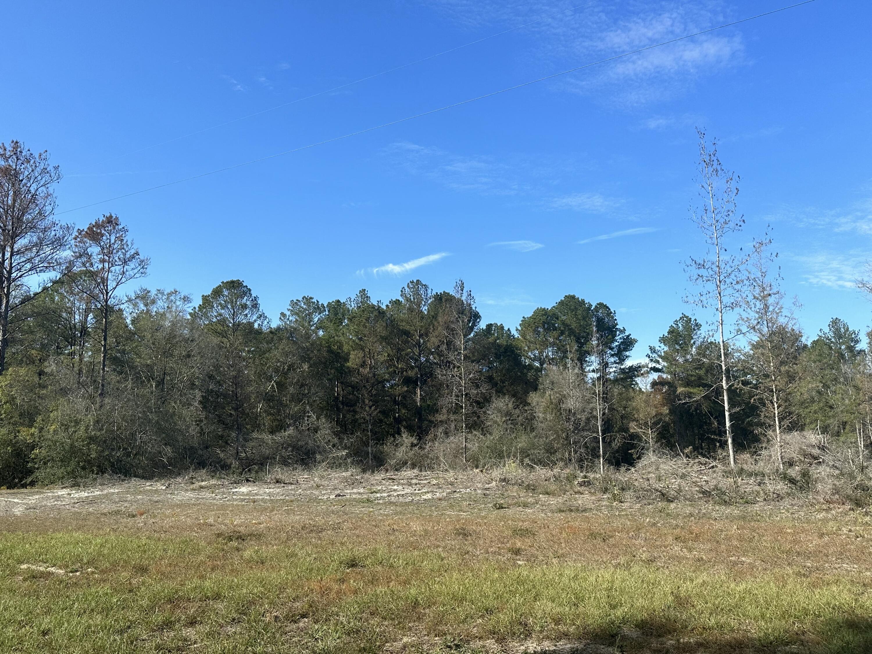 25.13 acres located along a paved road with significant frontage and access to power. The property features a mix of wooded acreage and natural creek access, offering diverse terrain and potential. Suitable for various uses, including residential or recreational purposes. Located within reach of the Florida/Alabama state line and with convenient access to County Hwy 181 W and Hwy 83. Buyers are advised not to enter the property without a confirmed showing appointment--minimum 12-hour notice required.