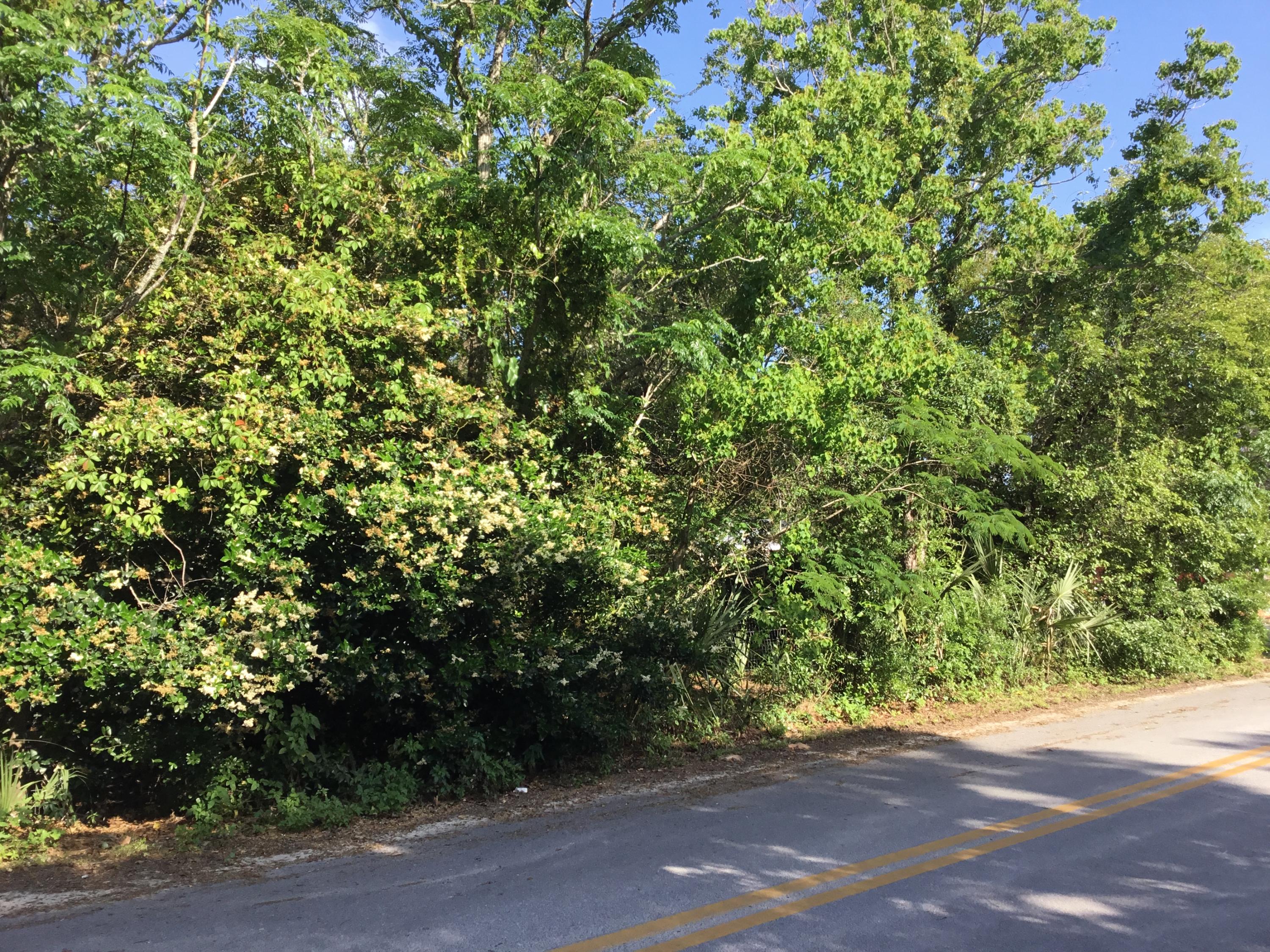 GULFVIEW HEIGHTS - Residential