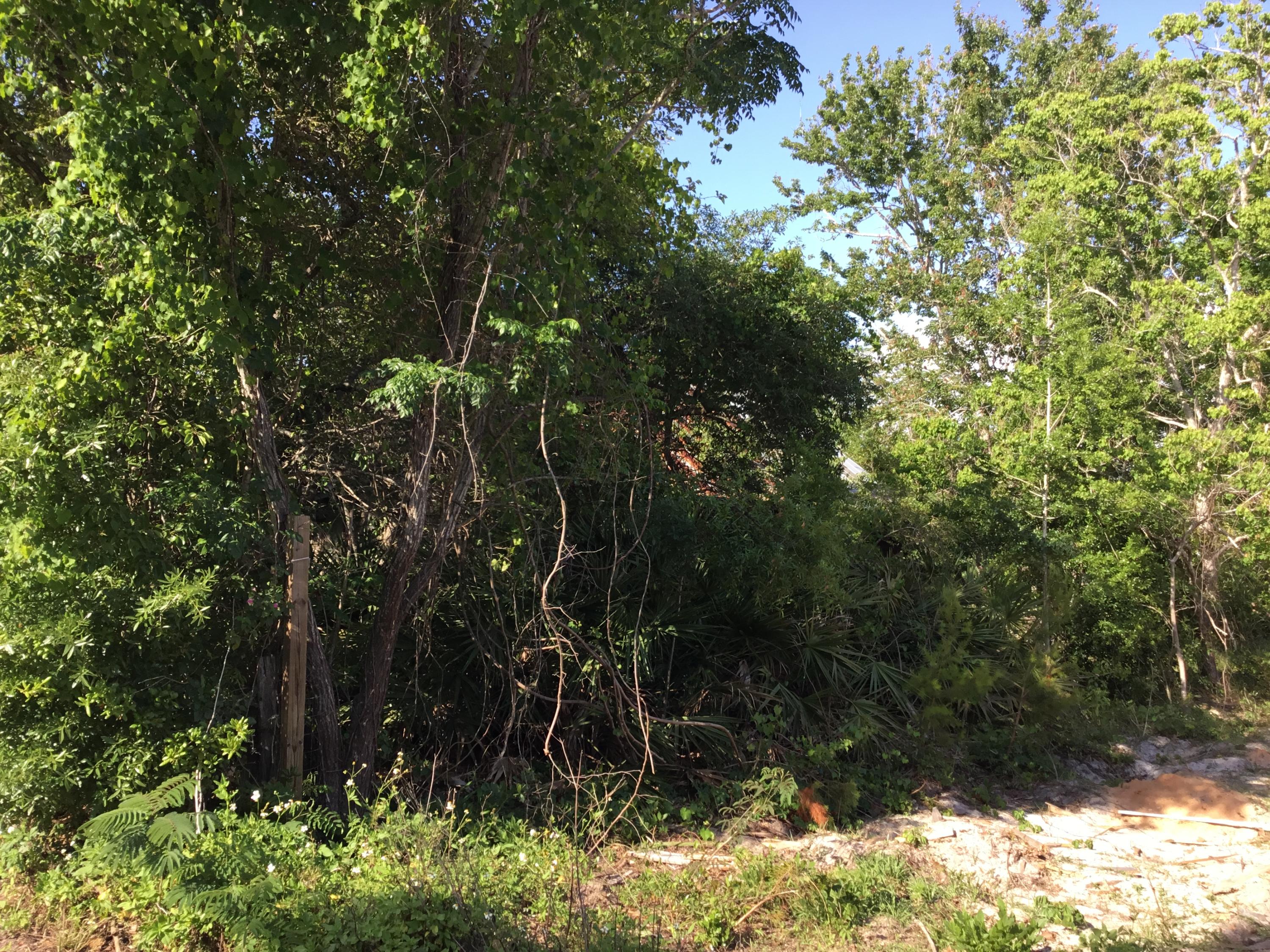 GULFVIEW HEIGHTS - Residential