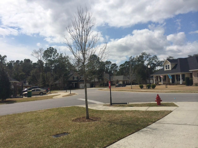 The Preserve At Swift Creek - Residential