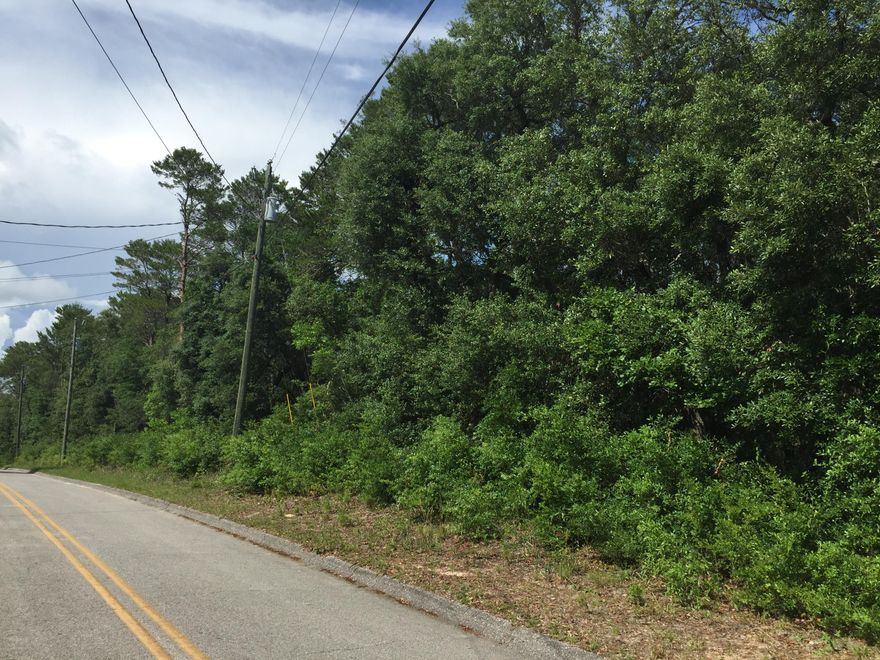 Affordable lots in Choctaw Beach. Wooded 75' x 150' on paved street. This listing reflects the price of one lot, but there are an additional 6 lots for sale (11 lots total). Lots 7,8 and 12-16 are all offered for sale for $22,500 each. Power and water is available for each lot and sewer will be handled by individual private septic systems. These lots are perfect for first time home buyer or a new home builder looking to build, high demand affordable, housing. Take a look at these lots today. Property Starts at the corner of Aspen and Sycamore along the right side of the street to the dead end. 3 homes have been constructed and sold on lots 9, 10 and 11 (middle of the property). See Walton County GIS map and Plat in documents.